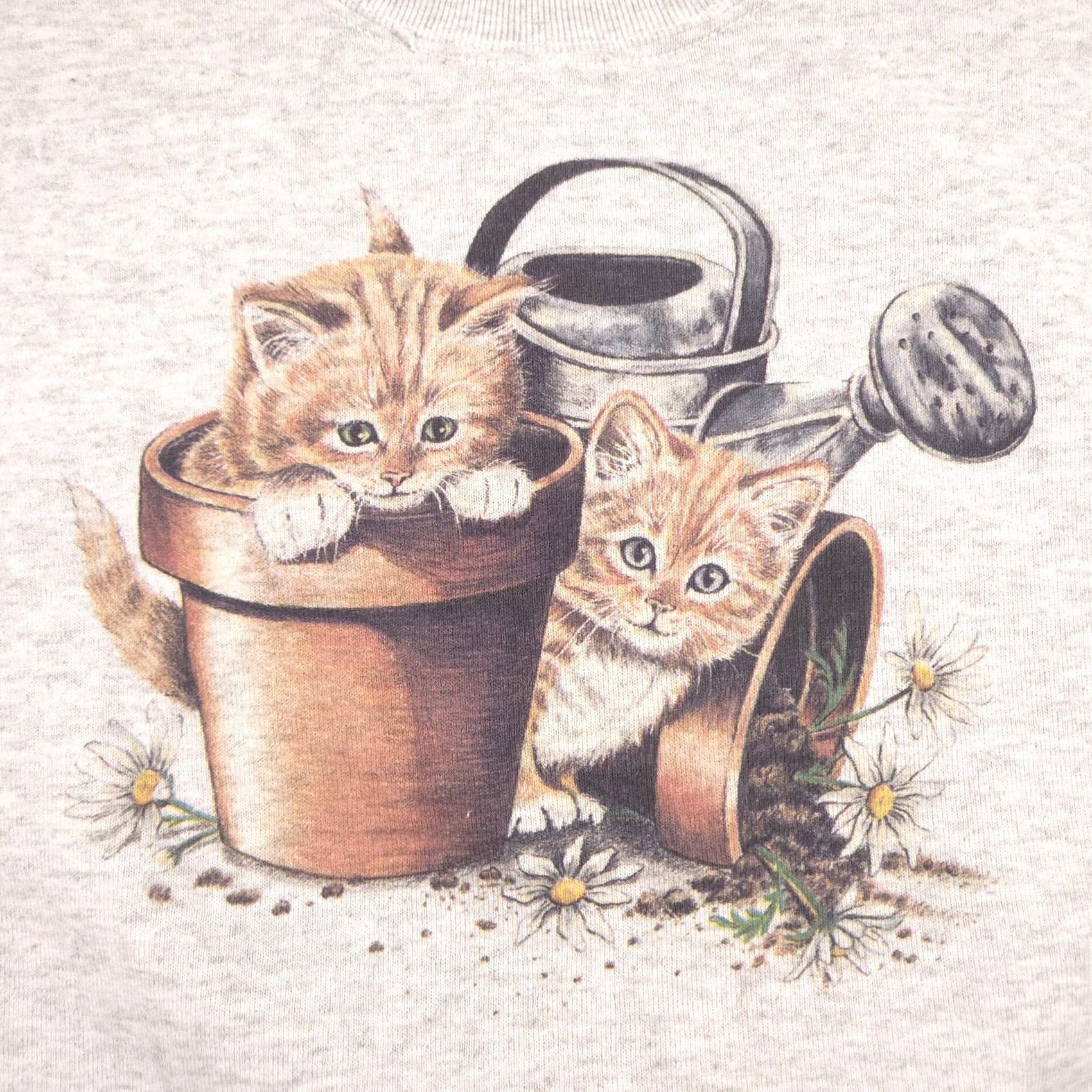 Fruit Of The Loom Fruit of the Loom Sweatshirt Womens M Gray Kitten Flower Pots Graphic Size M / US 6-8 / IT 42-44 - 4 Thumbnail