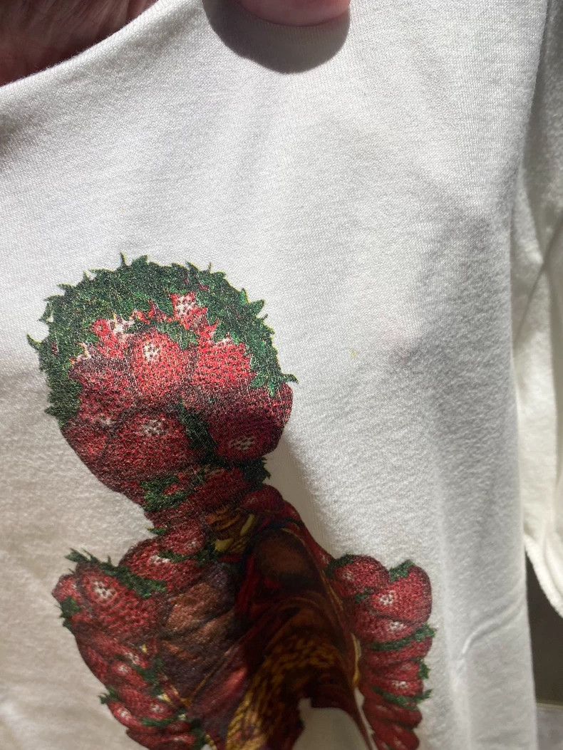 Undercover Undercover 05ss But Beautiful Issue 2 Masterpiece Strawber Size US L / EU 52-54 / 3 - 3 Thumbnail
