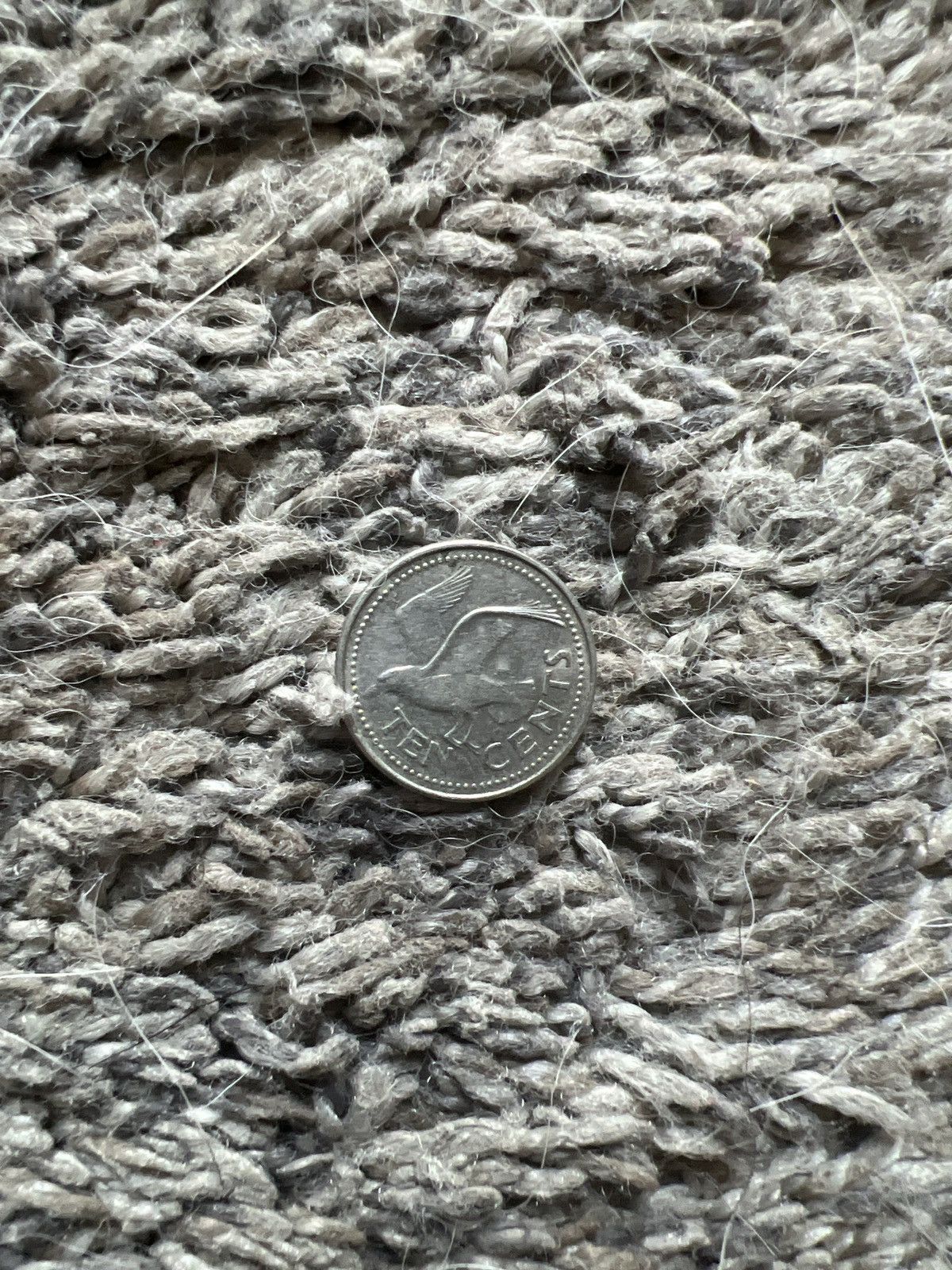 Vintage 1996 Barbados Ten Cents Coin Size ONE SIZE - 2 Thumbnail
