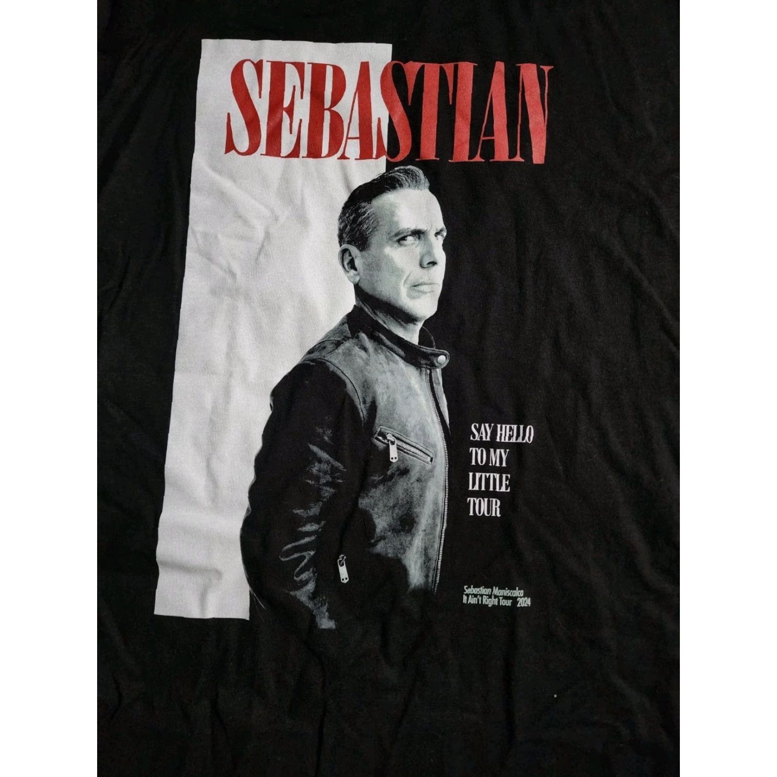 Tultex Men's XL Tultex Sebastian Maniscalco Black T-Shirt Stand-Up Comedy Tour Say Hello to My Friend Funny Size US XL / EU 56 / 4 - 2 Thumbnail
