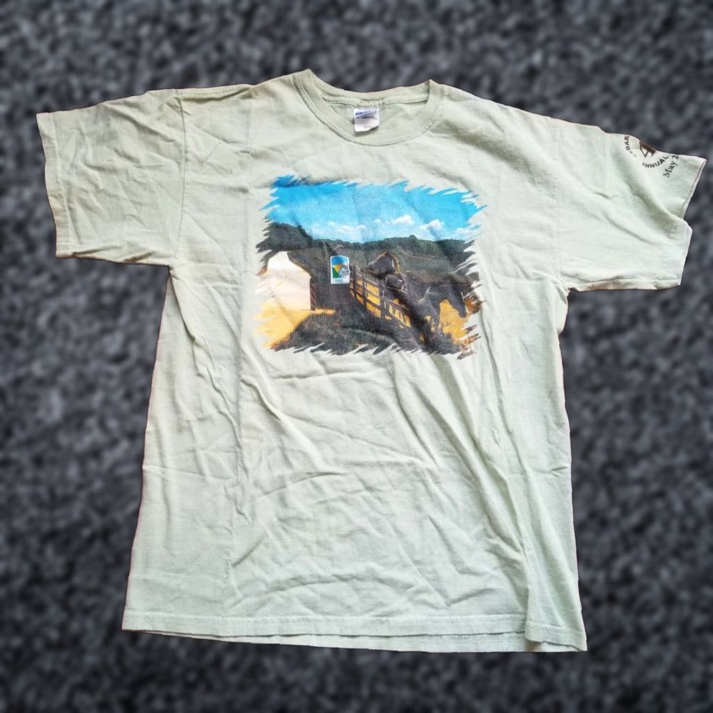 Gildan 2008 Cedartown Georgia GA Bike Ride Graphic Tee, Green, Adult Large, Mens, Double Sided, Retro Size US L / EU 52-54 / 3 - 1 Thumbnail