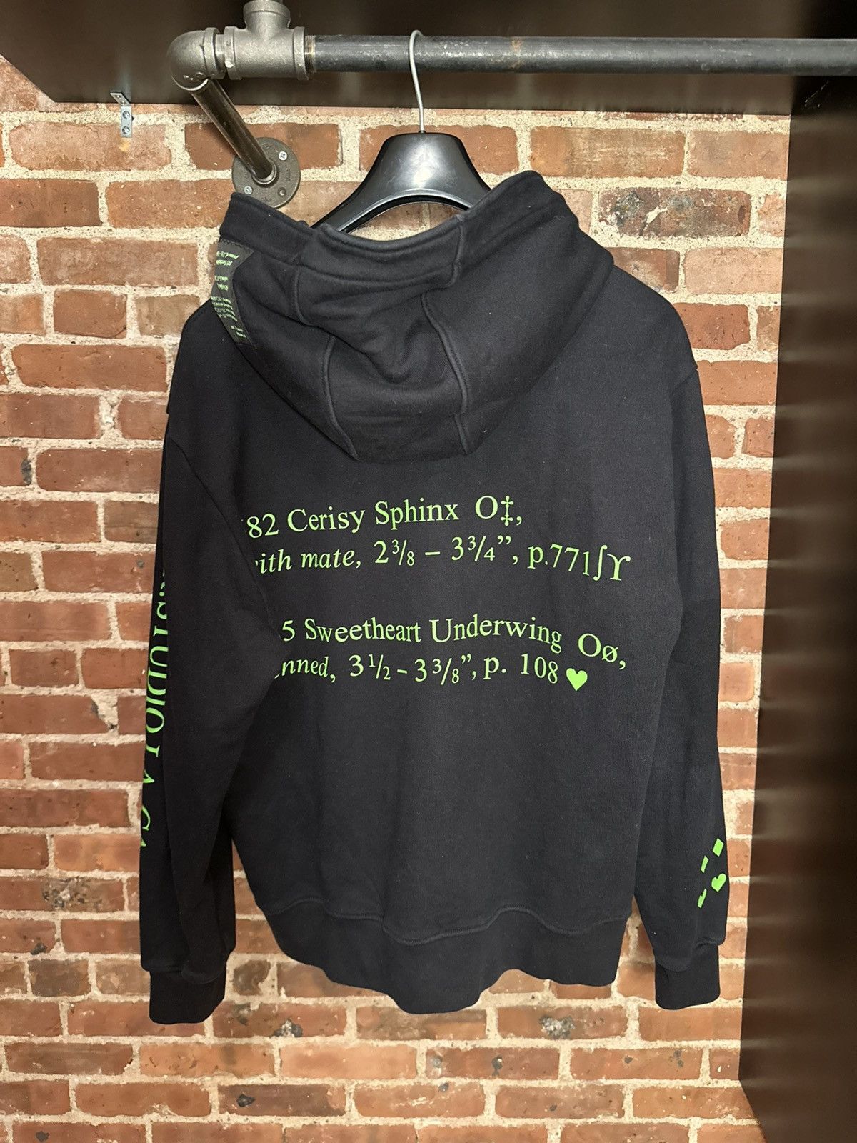 Sterling Ruby S. R. Studios Insect Index Oversized Hoodie Size US XS / EU 42 / 0 - 2 Thumbnail