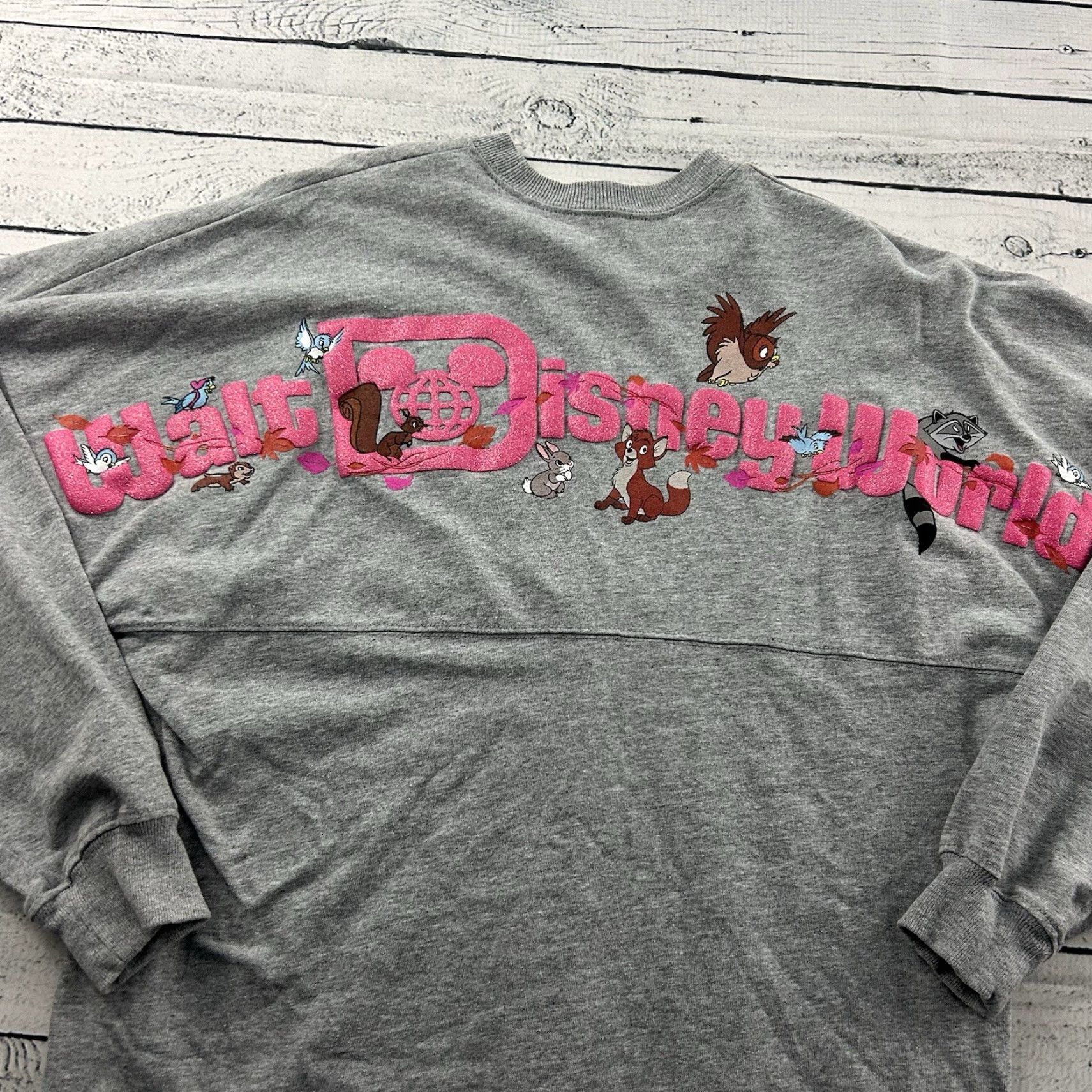 Disney Disney Spirit Jersey Hummingbird Long Sleeve Shirt Men's Small Gray Size US S / EU 44-46 / 1 - 7 Thumbnail