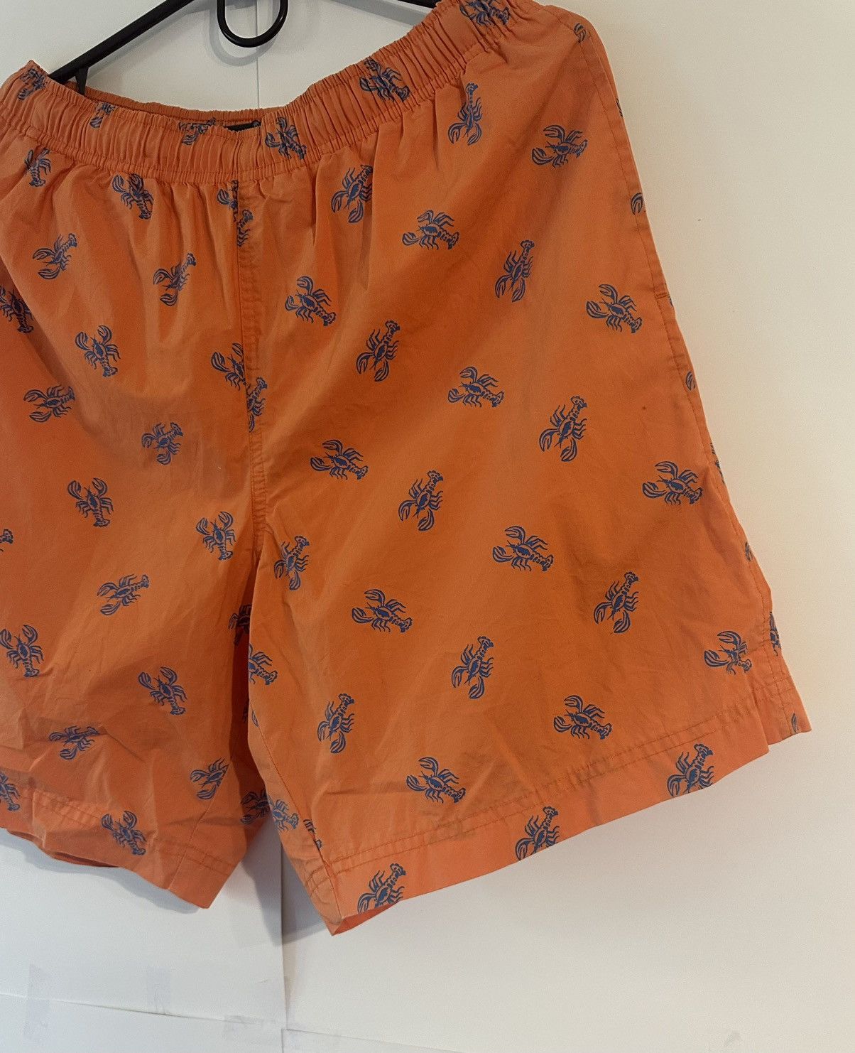 Ralph Lauren Ralph Lauren Lobster Logo Cotton Swim Short Size US 30 / EU 46 - 4 Thumbnail