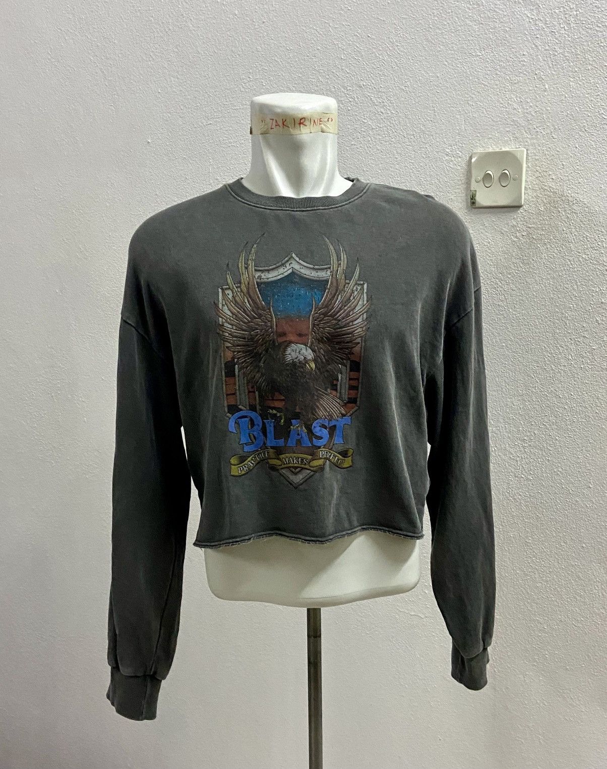 Other BLAST Eagle Graphic Cropped CREW NECK SWEATSHIRT Size M / US 6-8 / IT 42-44 - 2 Thumbnail
