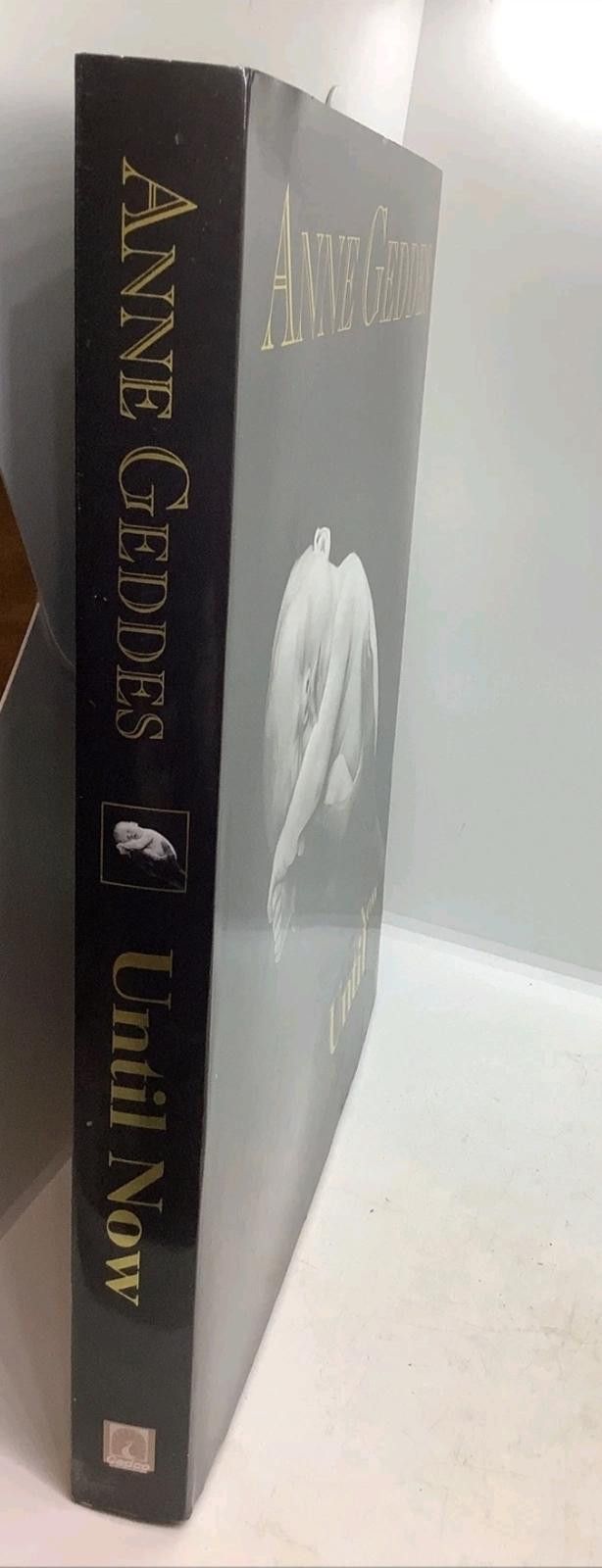 Other Until Now Book by Anne Geddes Size ONE SIZE - 1 Thumbnail