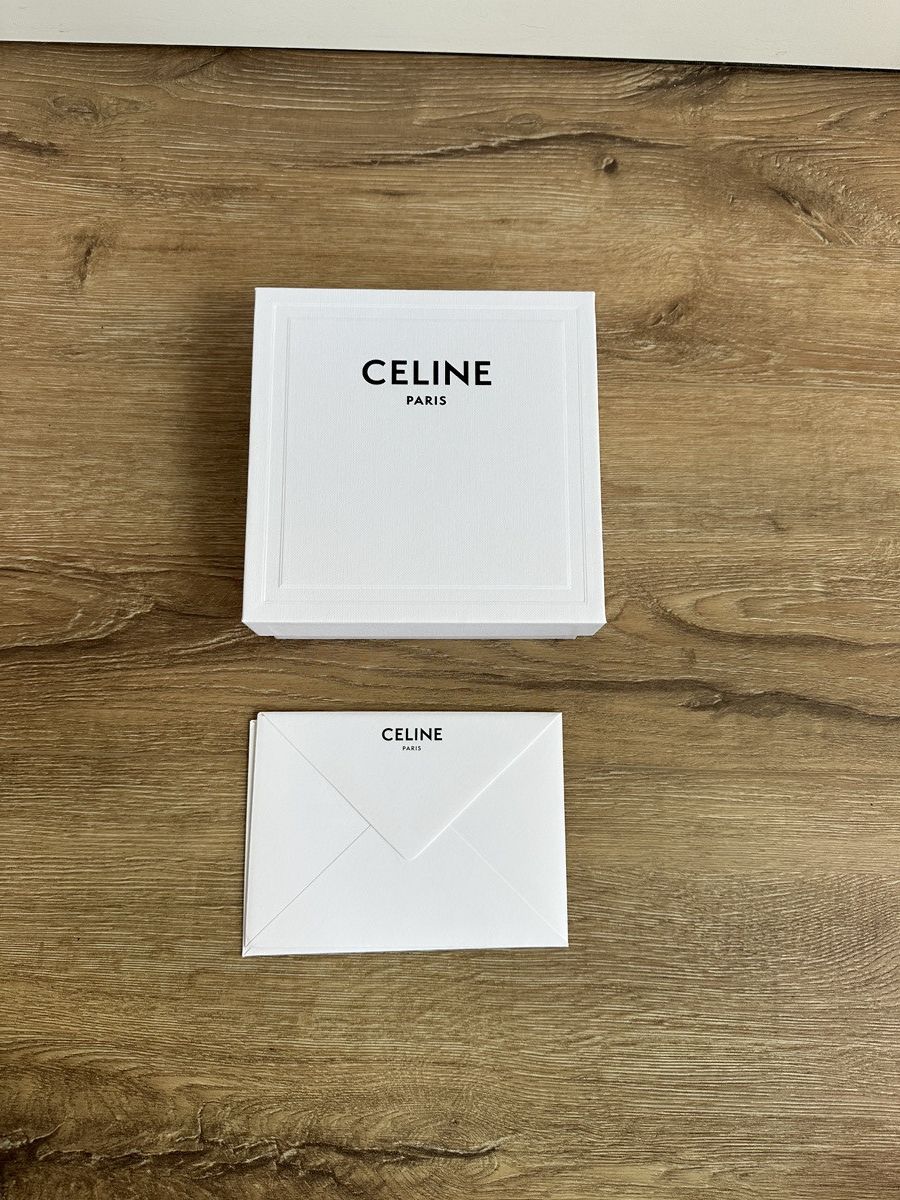 Celine Celine Western Belt 2 Vegetal Calfskin Hedi Slimane Size ONE SIZE - 6 Thumbnail