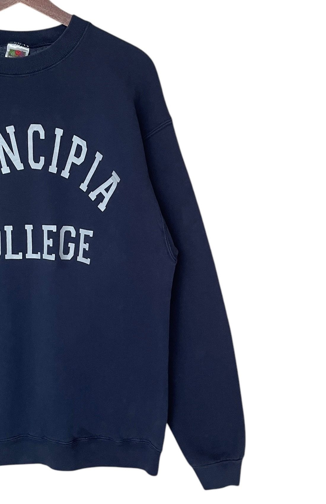 Fruit Of The Loom × Vintage Vintage Fruit of The Loom Principia College Sweatshirt 1990s Size US L / EU 52-54 / 3 - 4 Thumbnail