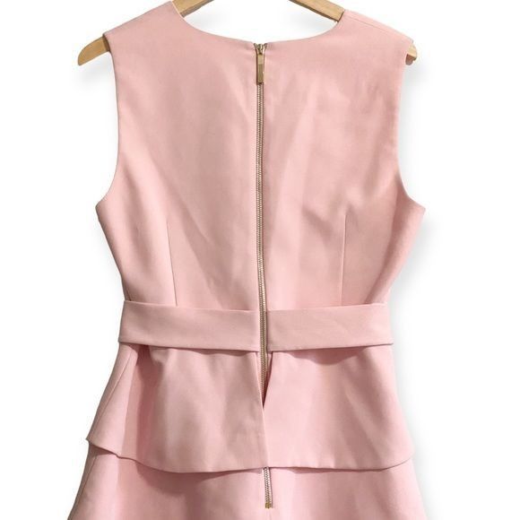 Ted Baker Ted Baker Reinah Sleeveless Tiered Pink Mini Dress Size 4(L) Size L / US 10 / IT 46 - 4 Thumbnail