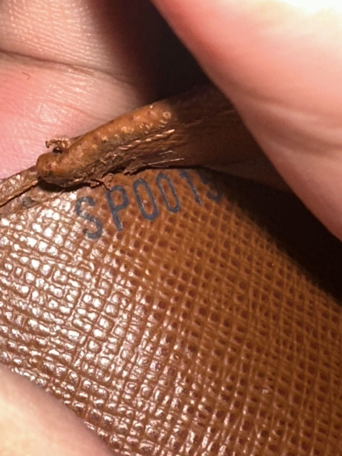 Louis Vuitton 2005 Louis Vuitton Elise wallet Size ONE SIZE - 9 Thumbnail