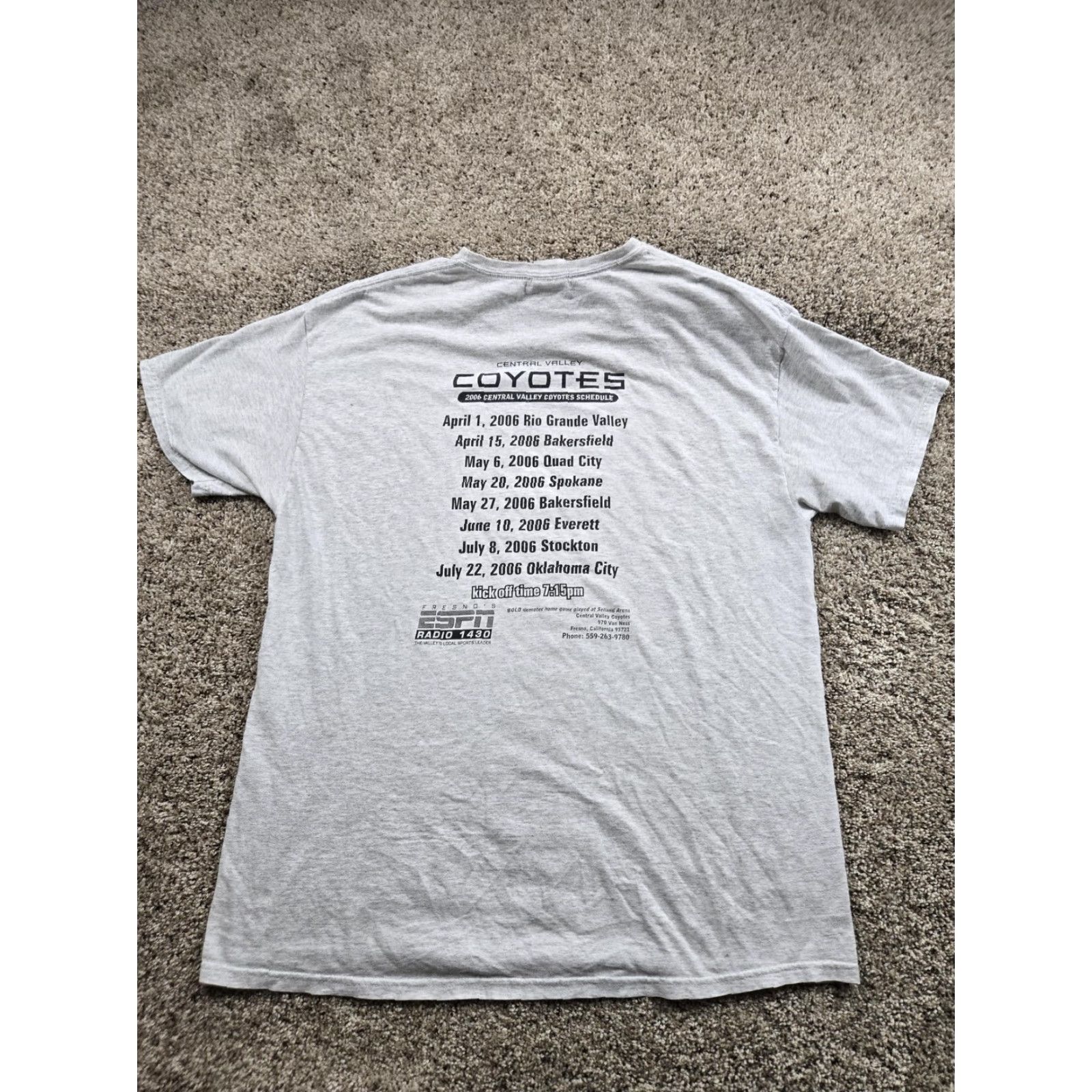 Hanes VINTAGE Central Valley Coyotes T Shirt Mens XL Gray AF2 Arena Football 2006 Size US XL / EU 56 / 4 - 6 Thumbnail
