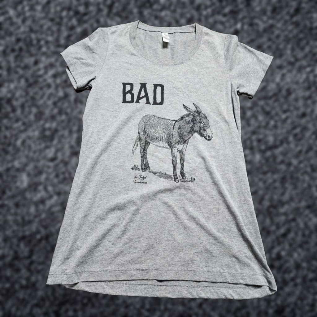 Vintage Bella + Canvas Funny Donkey Graphic Print Women's Gray Short Sleeve T Shirt Medium Size M / US 6-8 / IT 42-44 - 1 Thumbnail