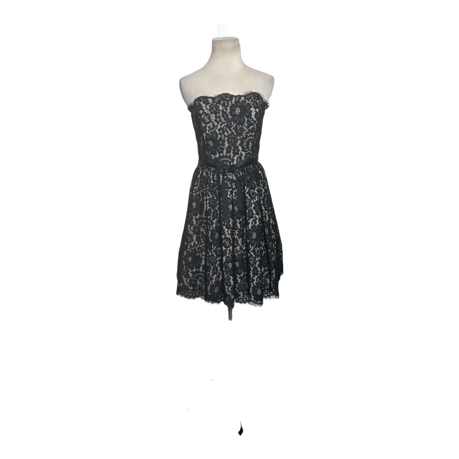 Robert Rodriguez Robert Rodriguez Lace Strapless Party Cocktail Dress Size 6 Size M / US 6-8 / IT 42-44 - 16 Thumbnail