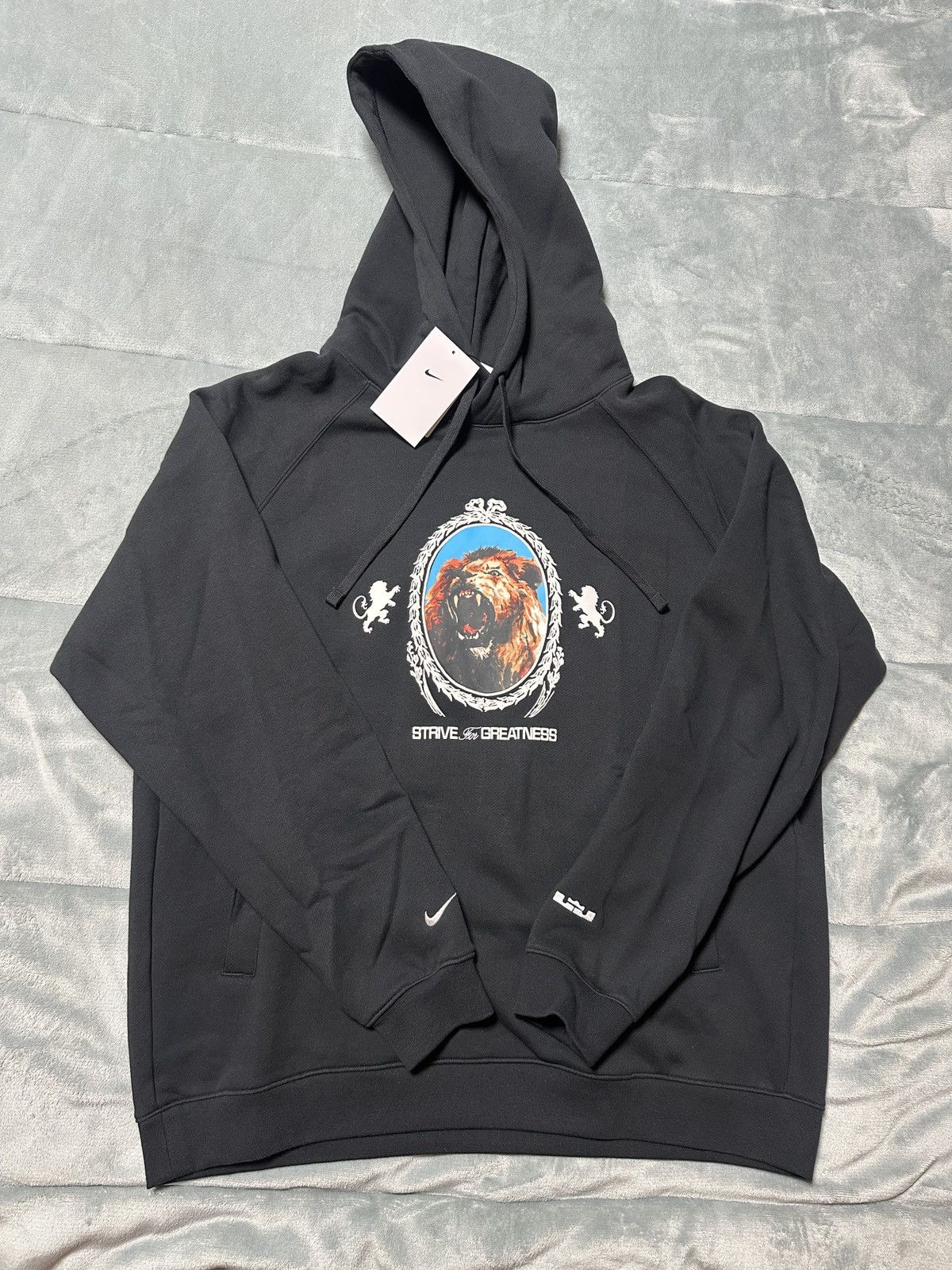 Nike NIKE LEBRON logo Lion Black Fleece Hoodie SIZE XL KING NWT Size US XL / EU 56 / 4 - 1 Thumbnail