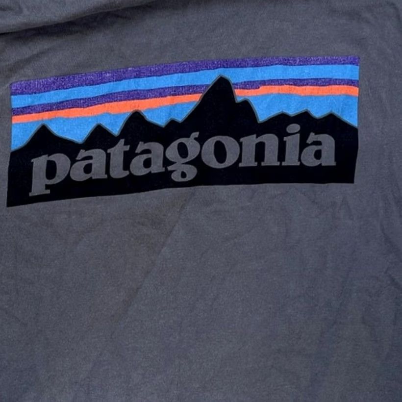 Patagonia Patagonia Organic Cotton Tee Mens S Gray Short Sleeve Back Logo Size US 29 - 5 Thumbnail