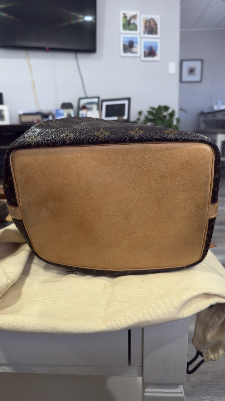 Louis Vuitton Louis Vuitton Noé Monogram Bucket Bag (Brown Leather Trim) Size ONE SIZE - 10 Thumbnail