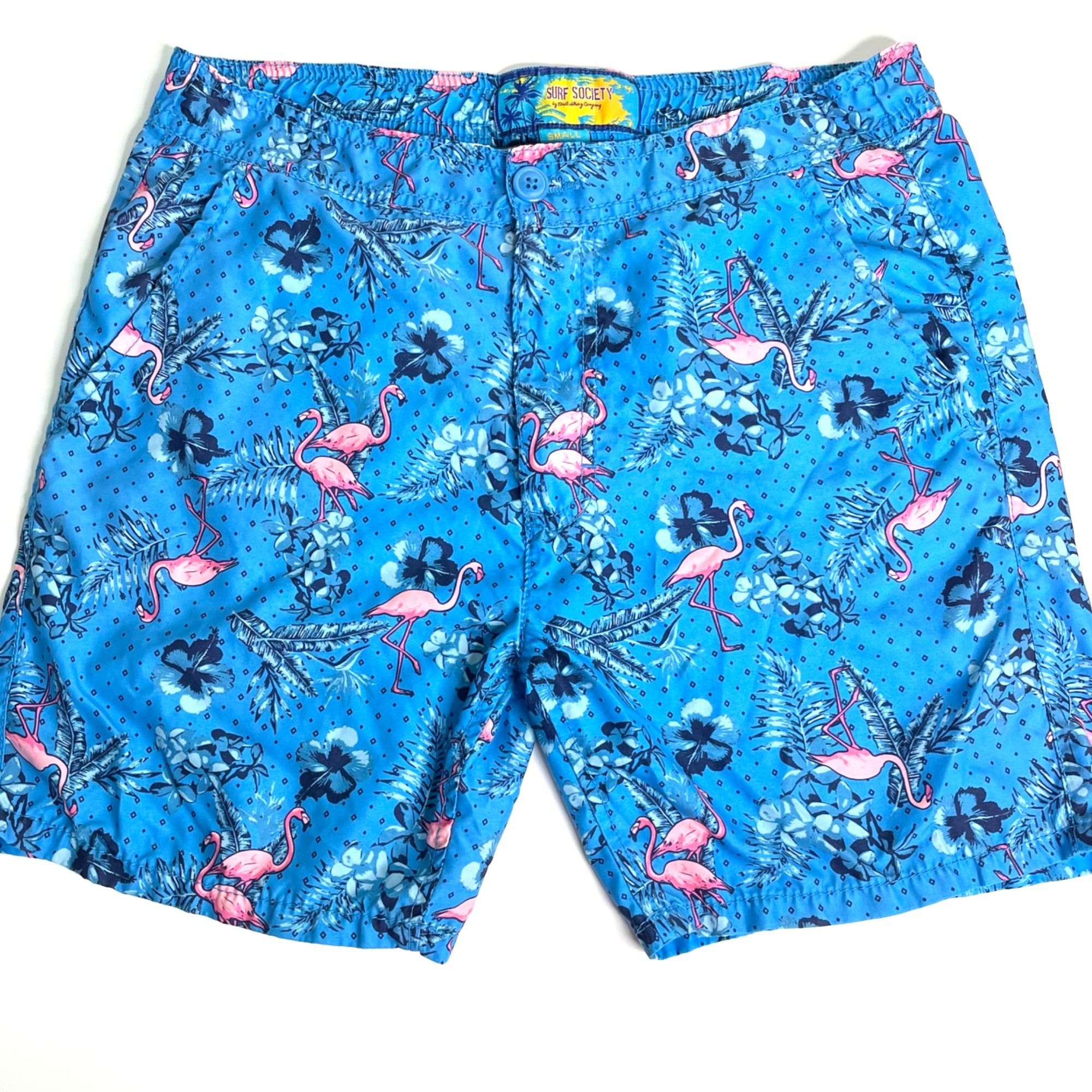Other Drill Clothing Swim Trunks Board Shorts Surf Society Turquoi Size US 32 / EU 48 - 1 Thumbnail