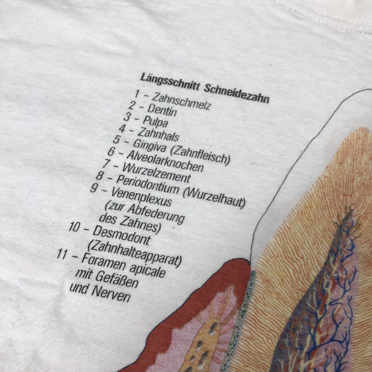 Vintage Vintage 90s Anatomy Graphic Tee Streetwear Art Y2K Cropped M Size US M / EU 48-50 / 2 - 5 Thumbnail