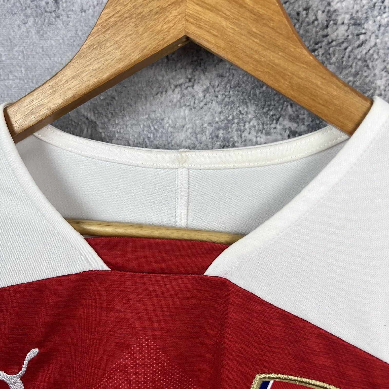 Puma Puma Arsenal Jersey Longsleeve Men's Size S Size US S / EU 44-46 / 1 - 17 Thumbnail