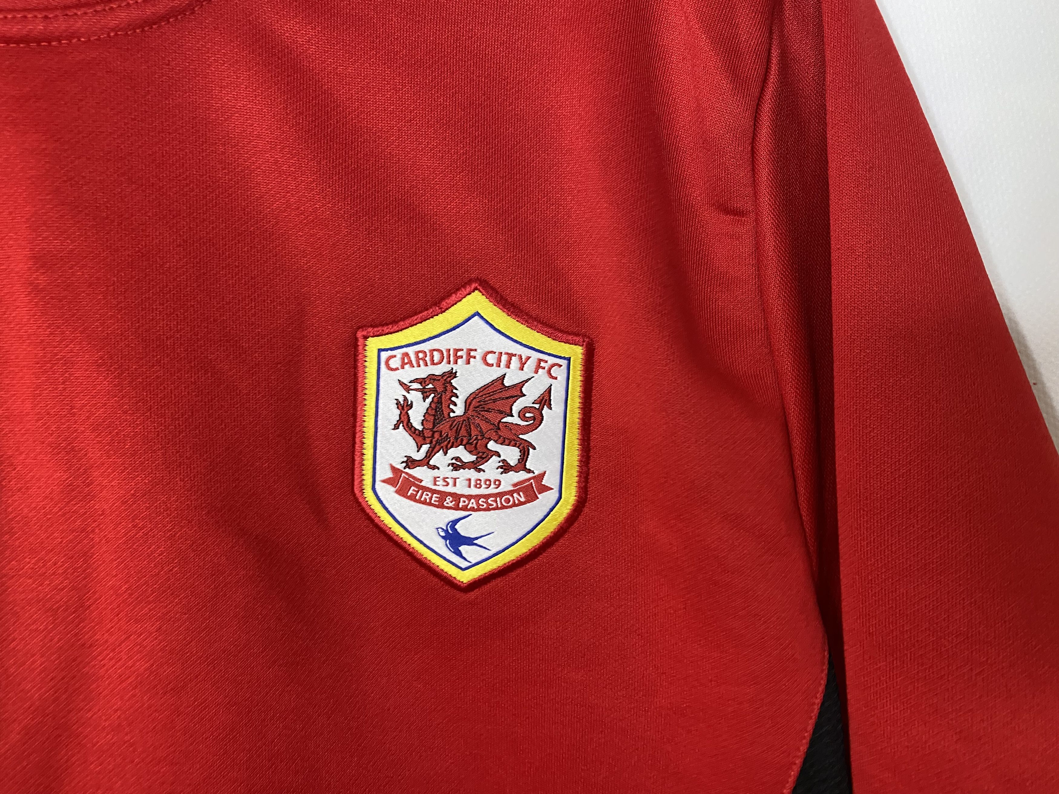 Adidas CARDIFF CITY 2014 2015 TRAINING FOOTBALL SHIRT SOCCER JERSEY Size US L / EU 52-54 / 3 - 3 Thumbnail