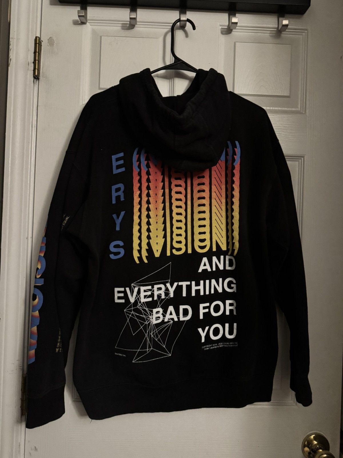 Jaden Smith × Msftsrep ERYS JADEN SMITH HOODIE Size US L / EU 52-54 / 3 - 1 Thumbnail