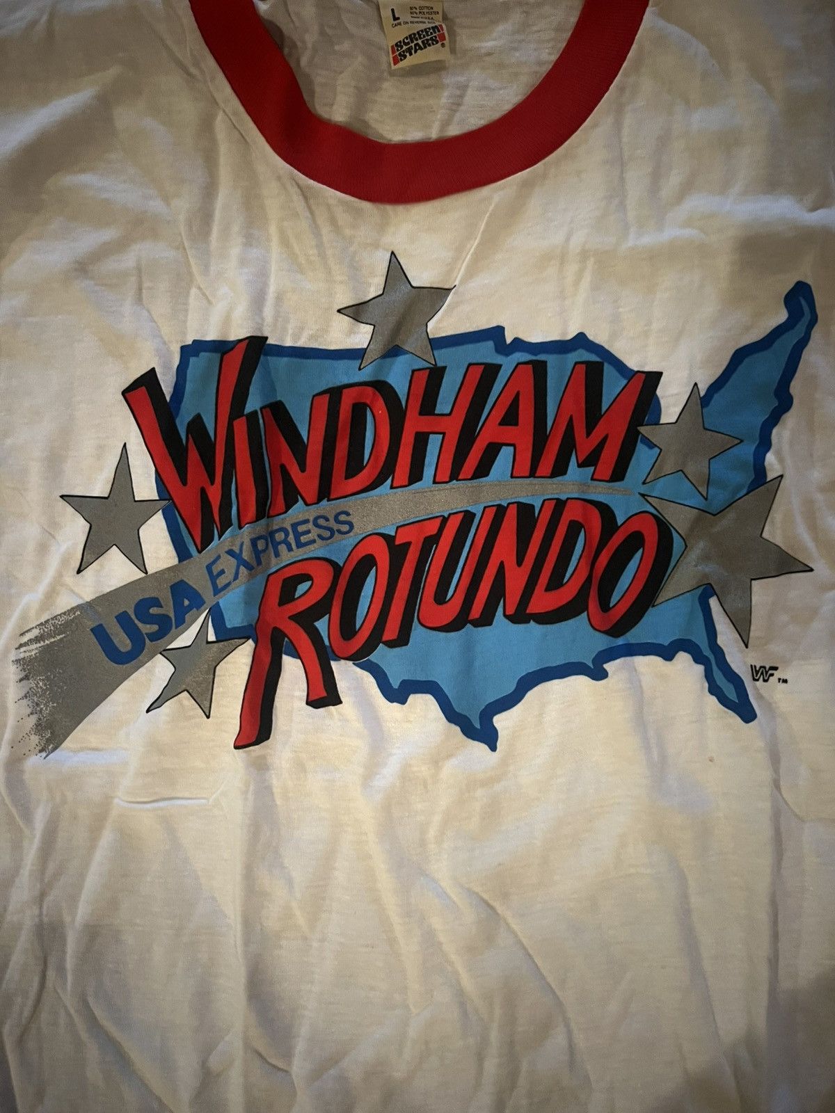 Vintage 🔥 Vintage Wyndham Rotundo “USA Express” Wrestling T-Shirt Size US L / EU 52-54 / 3 - 2 Thumbnail