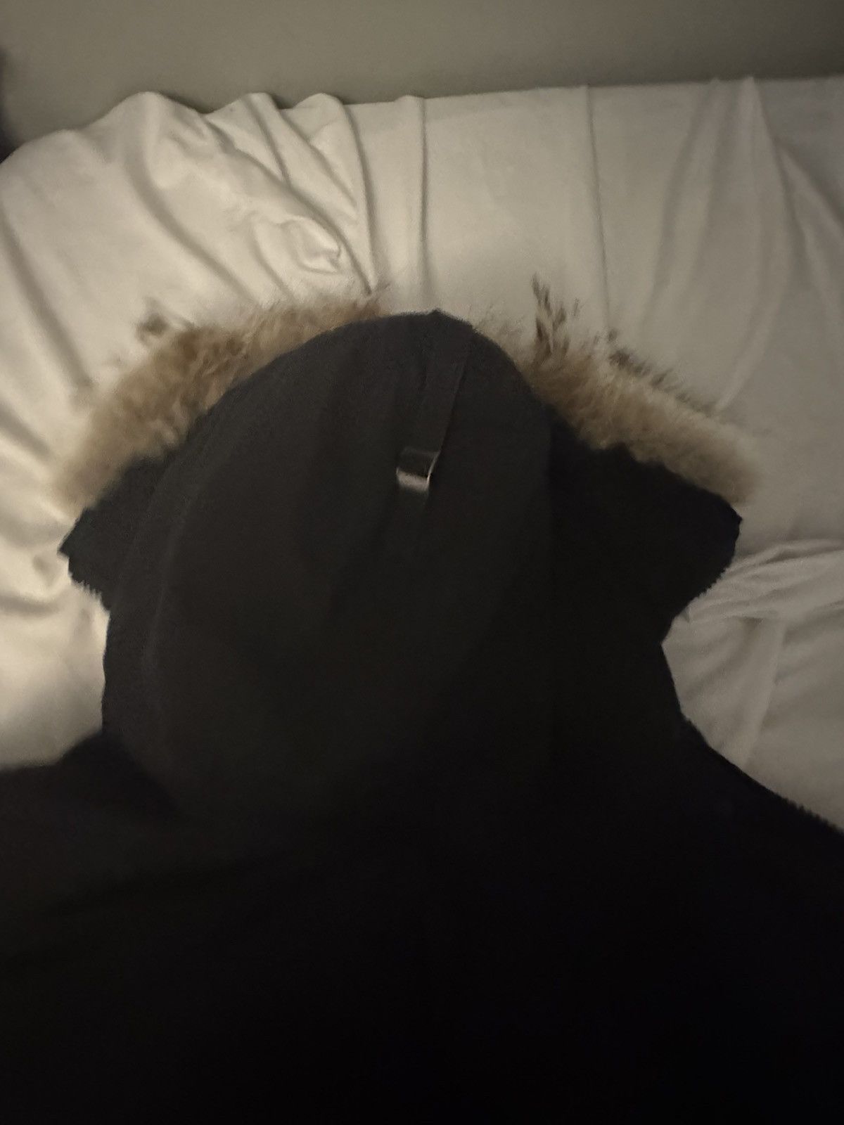 Canada Goose CANADA GOOSE CHILLIWACK BOMBER MENS DOWN JACKET AND FUR TRIM Size US L / EU 52-54 / 3 - 8 Thumbnail