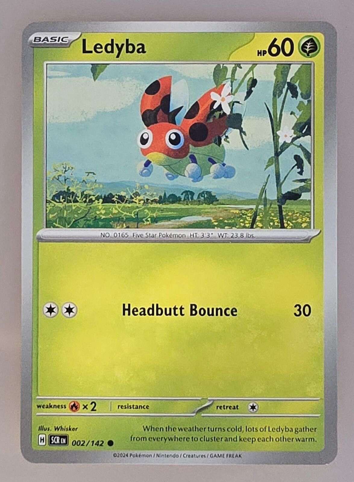 Pokemon Ledyba 002/142 common card from the Pokémon Stellar Crown Size ONE SIZE - 2 Thumbnail