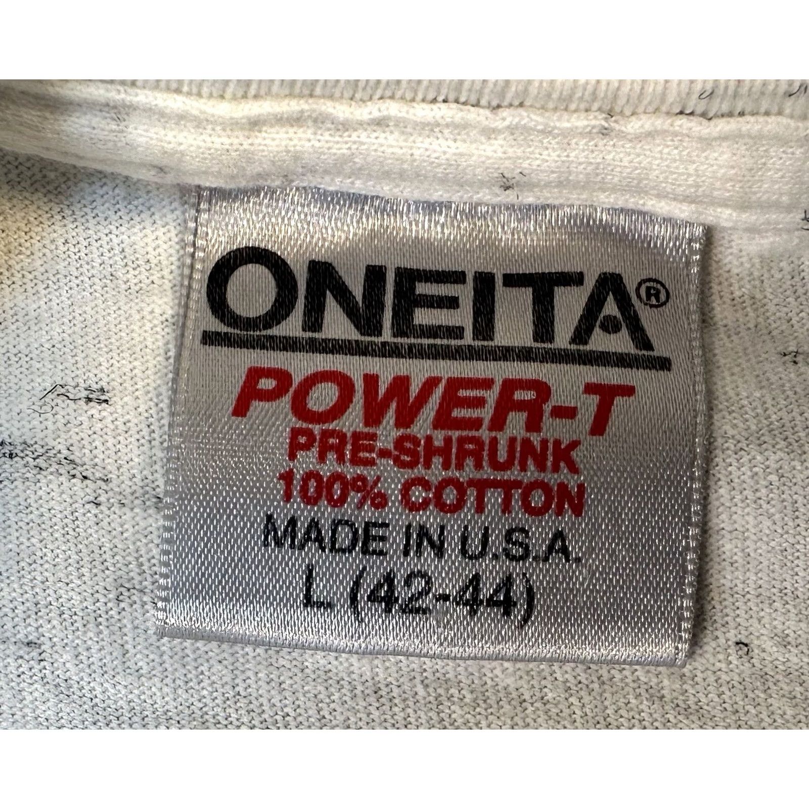 Vintage VINTAGE Oneita T-Shirt Men L Gray 90s Houston Texas Chili’s San Segal 1992 Size US L / EU 52-54 / 3 - 3 Thumbnail