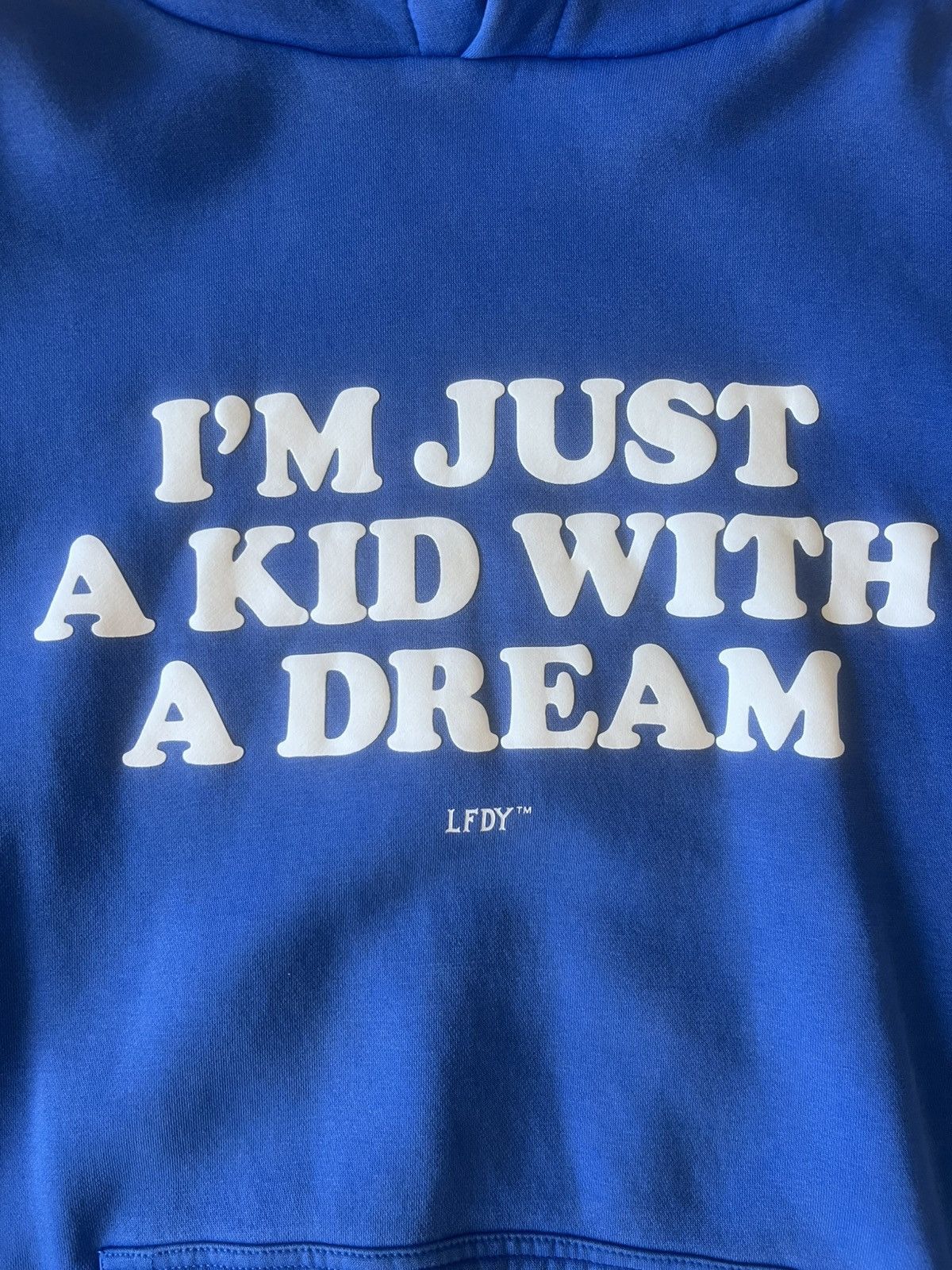 LFDY × Vintage LFDY “I’m just a kid with a dream” hoodie Size US XL / EU 56 / 4 - 3 Thumbnail
