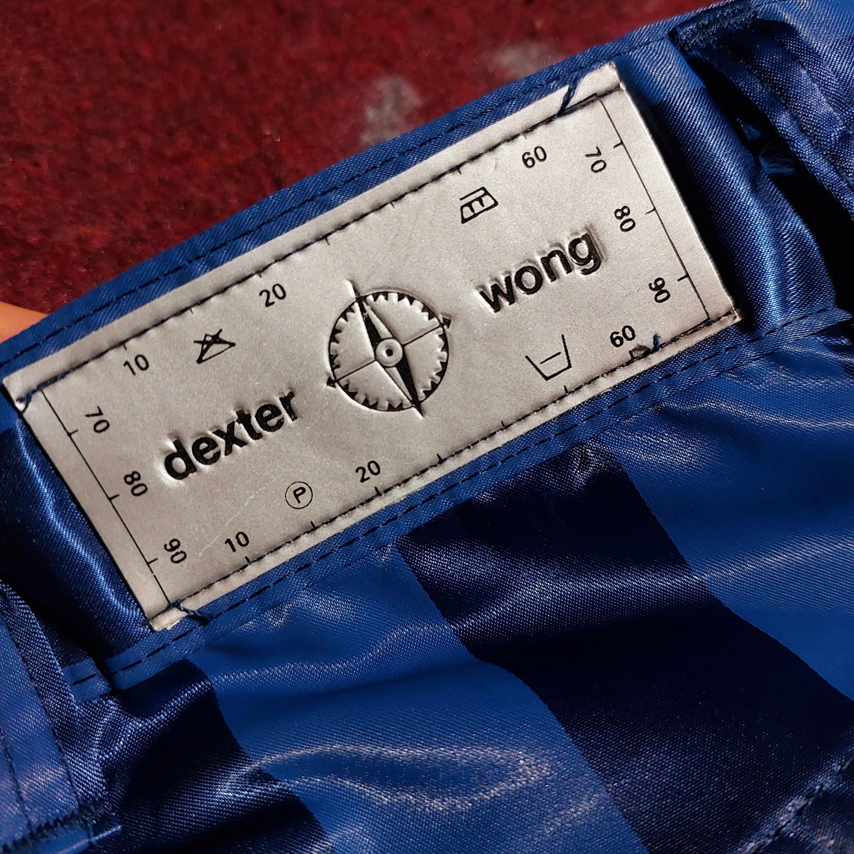 Dexter Wong 90's Dexter Wong UK blue stripe nylon pants Size US 28 / EU 44 - 10 Thumbnail