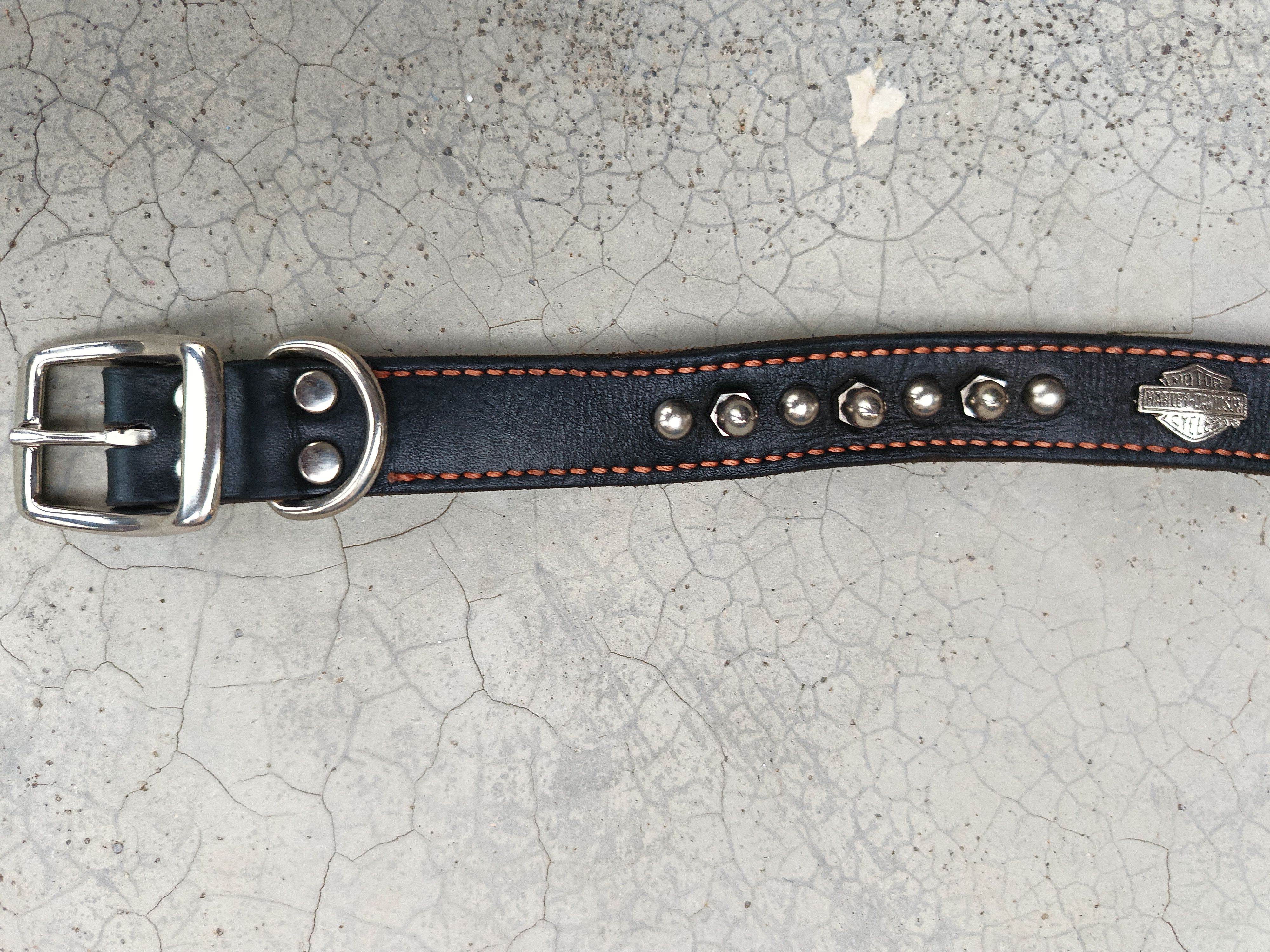 Harley Davidson HARLEY-DAVIDSON DOUBLE ROW SPIKED LEATHER DOG COLLAR Size ONE SIZE - 6 Thumbnail