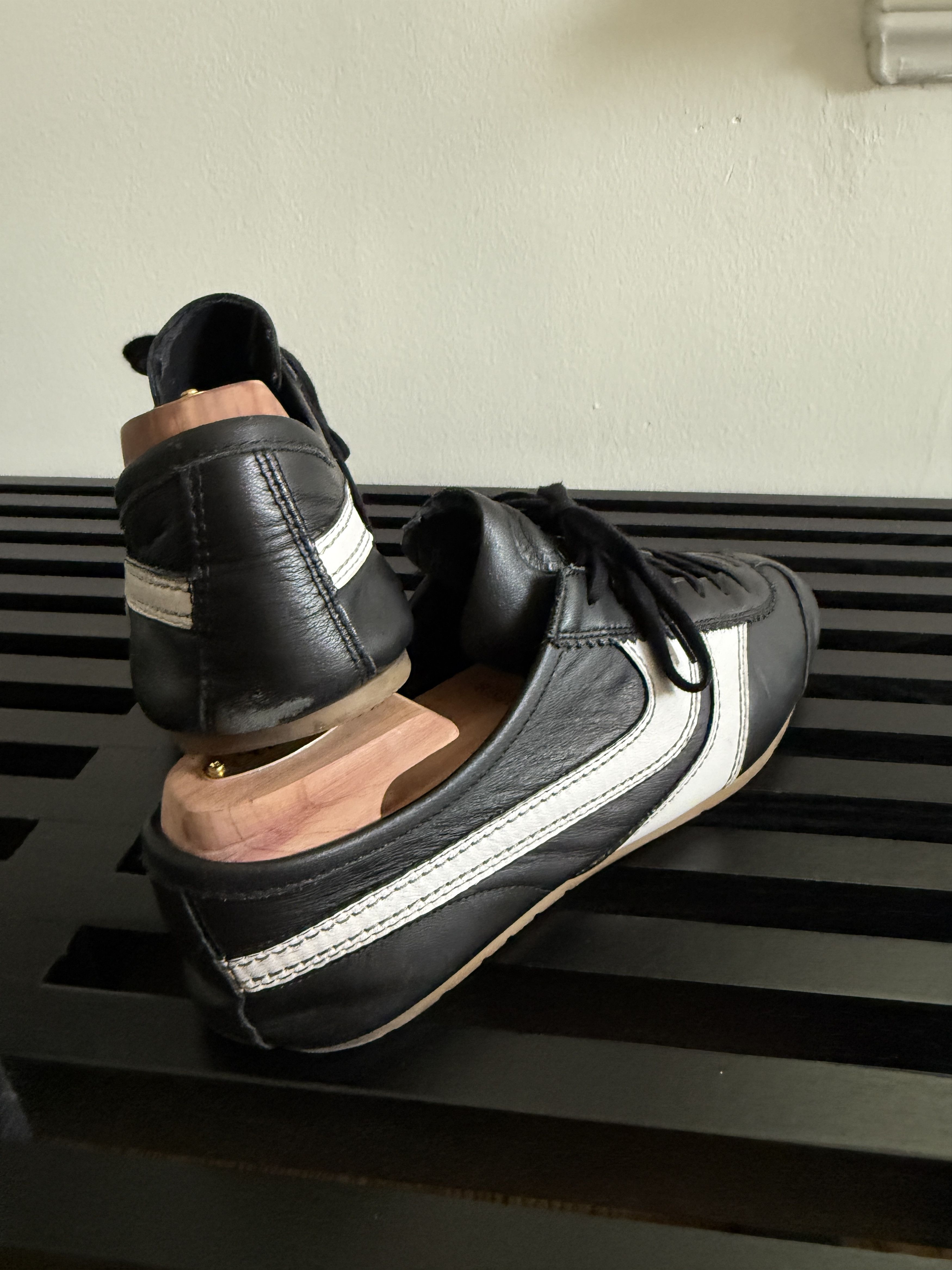 America's Cup low-top sneakers