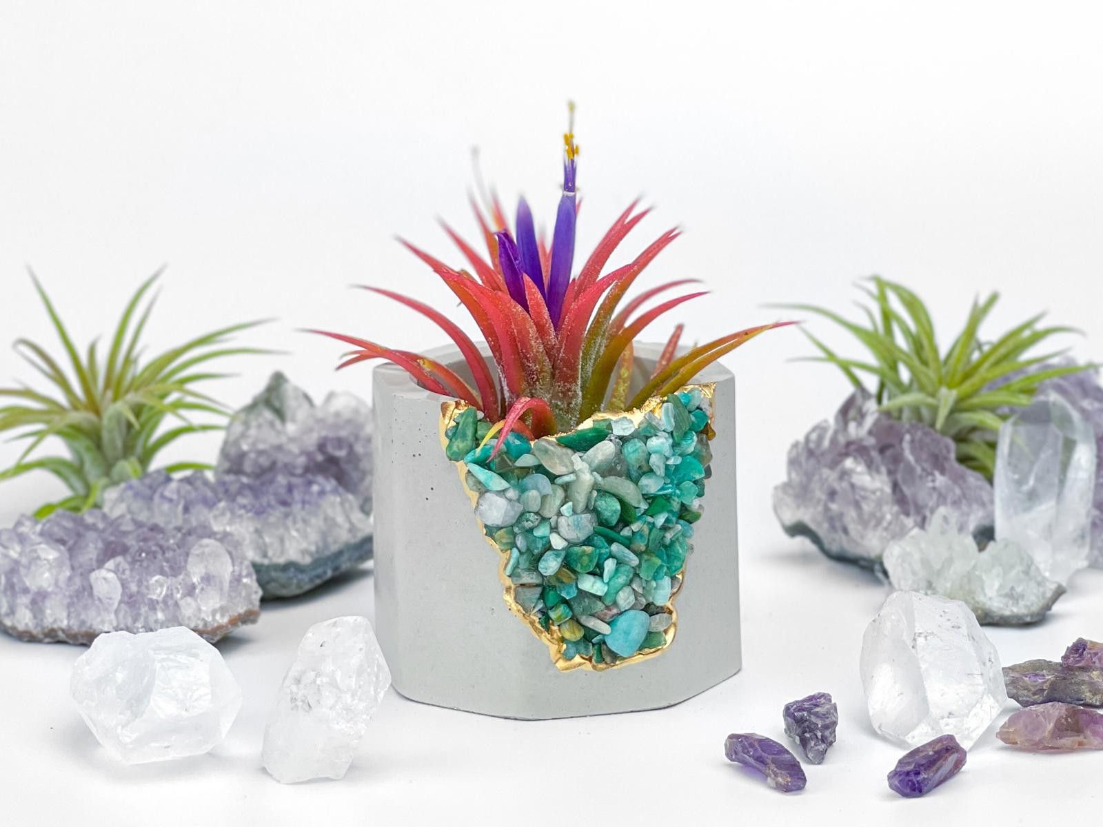 Other Amazonite Air Plant Holder | Succulent Crystal Geode Planter Size ONE SIZE - 3 Thumbnail