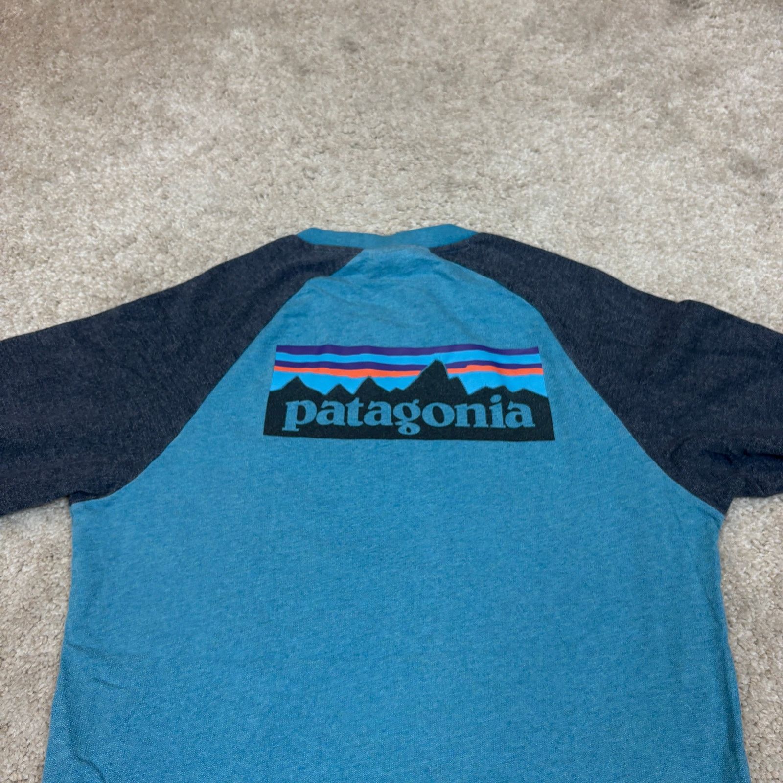 Patagonia Patagonia P-6 Logo Lightweight Crew Raglan Sweatshirt Mens S Size US S / EU 44-46 / 1 - 4 Thumbnail