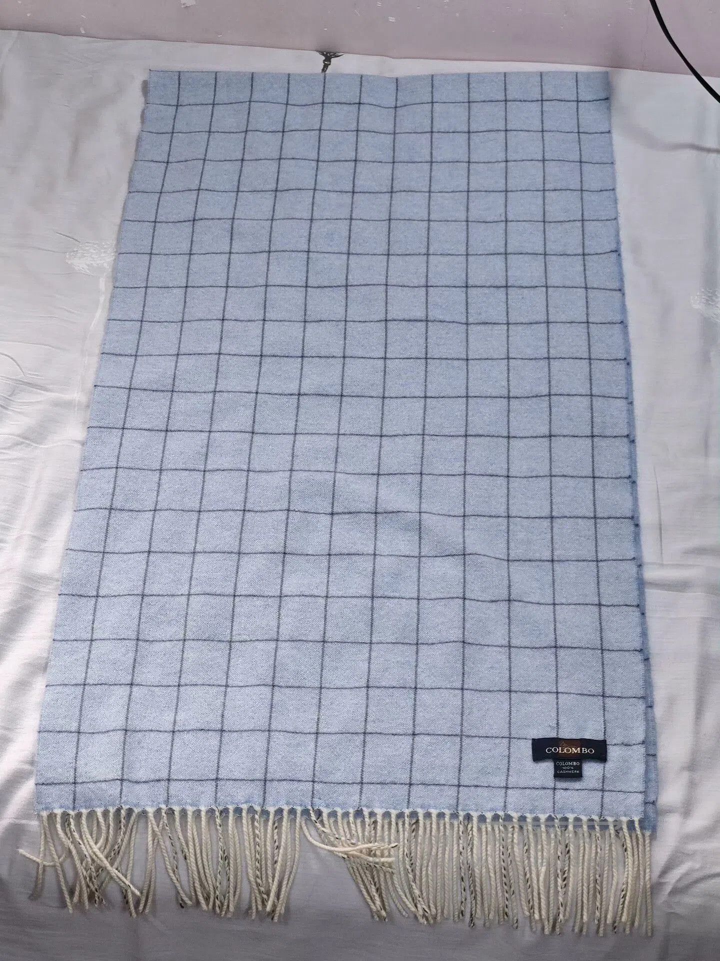 Ermenegildo Zegna Colombo Cashmere Scarf in Light Blue. Size ONE SIZE - 1 Thumbnail