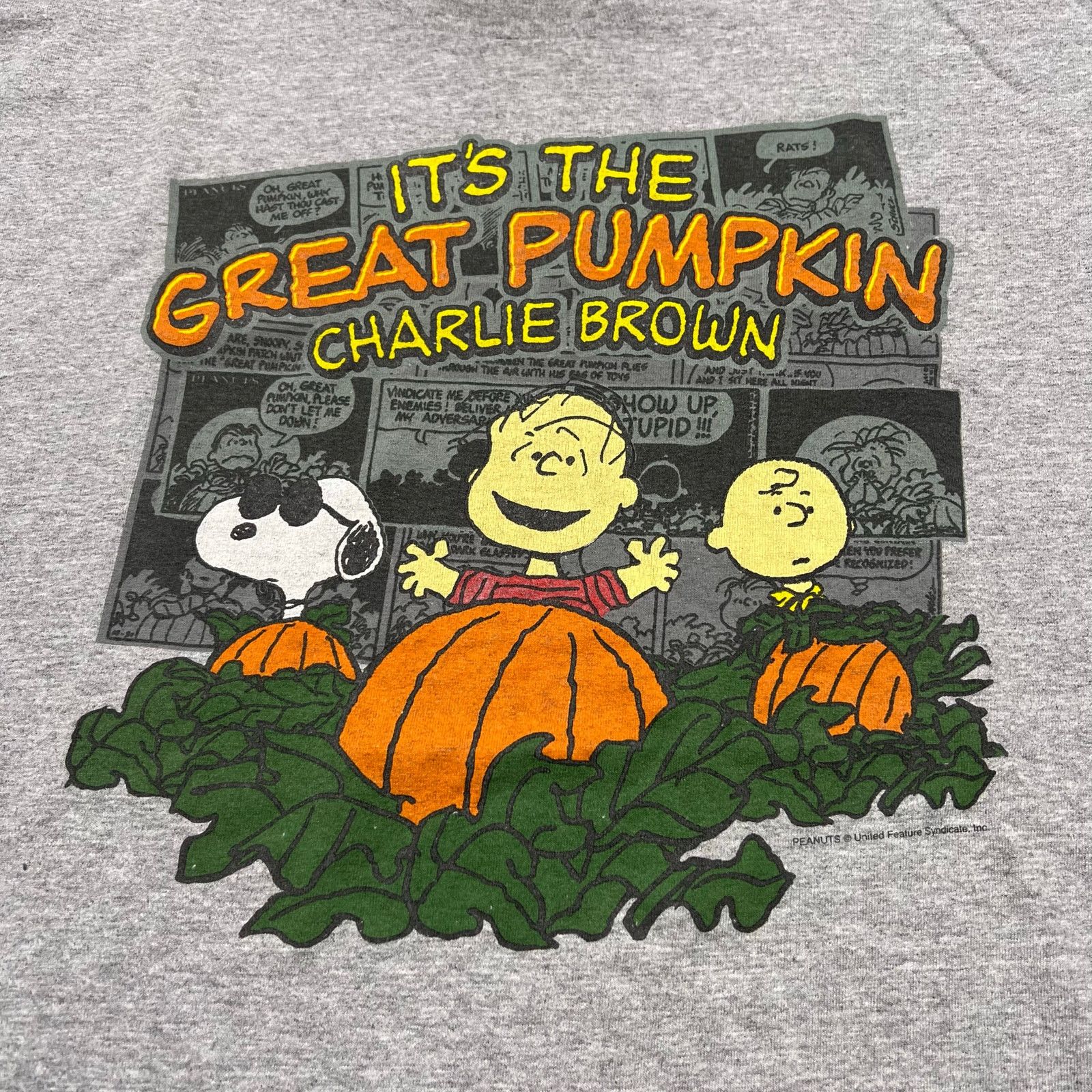 Peanuts Peanuts It’s The Great Pumpkin Charlie Brown T-Shirt Sz XL Size US XL / EU 56 / 4 - 2 Thumbnail