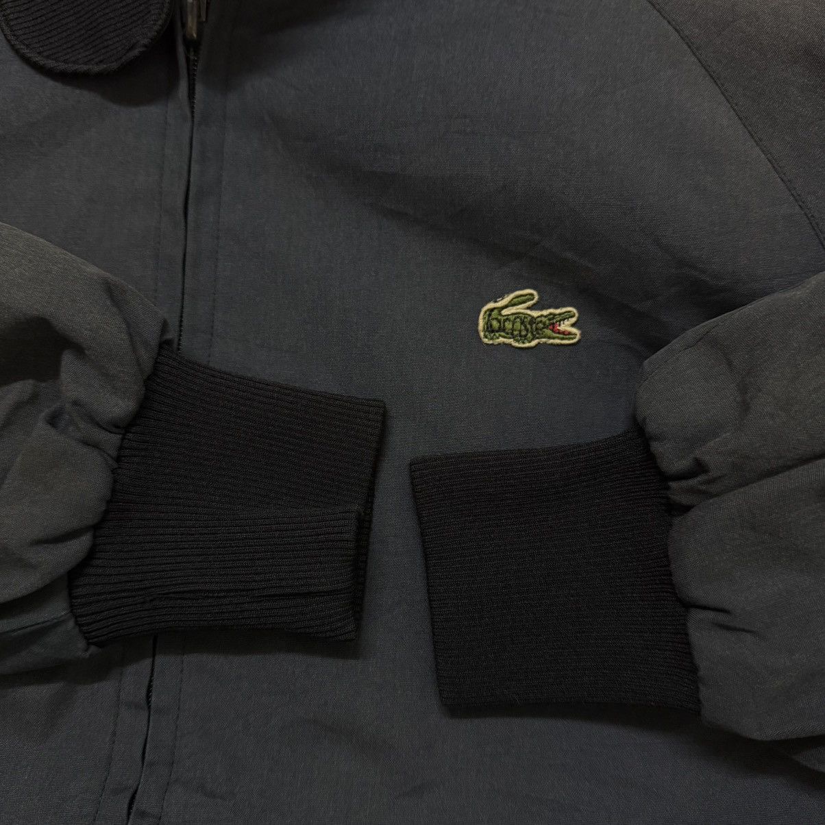 Lacoste Vintage Lacoste Jacket Harrington Style Size US M / EU 48-50 / 2 - 6 Thumbnail