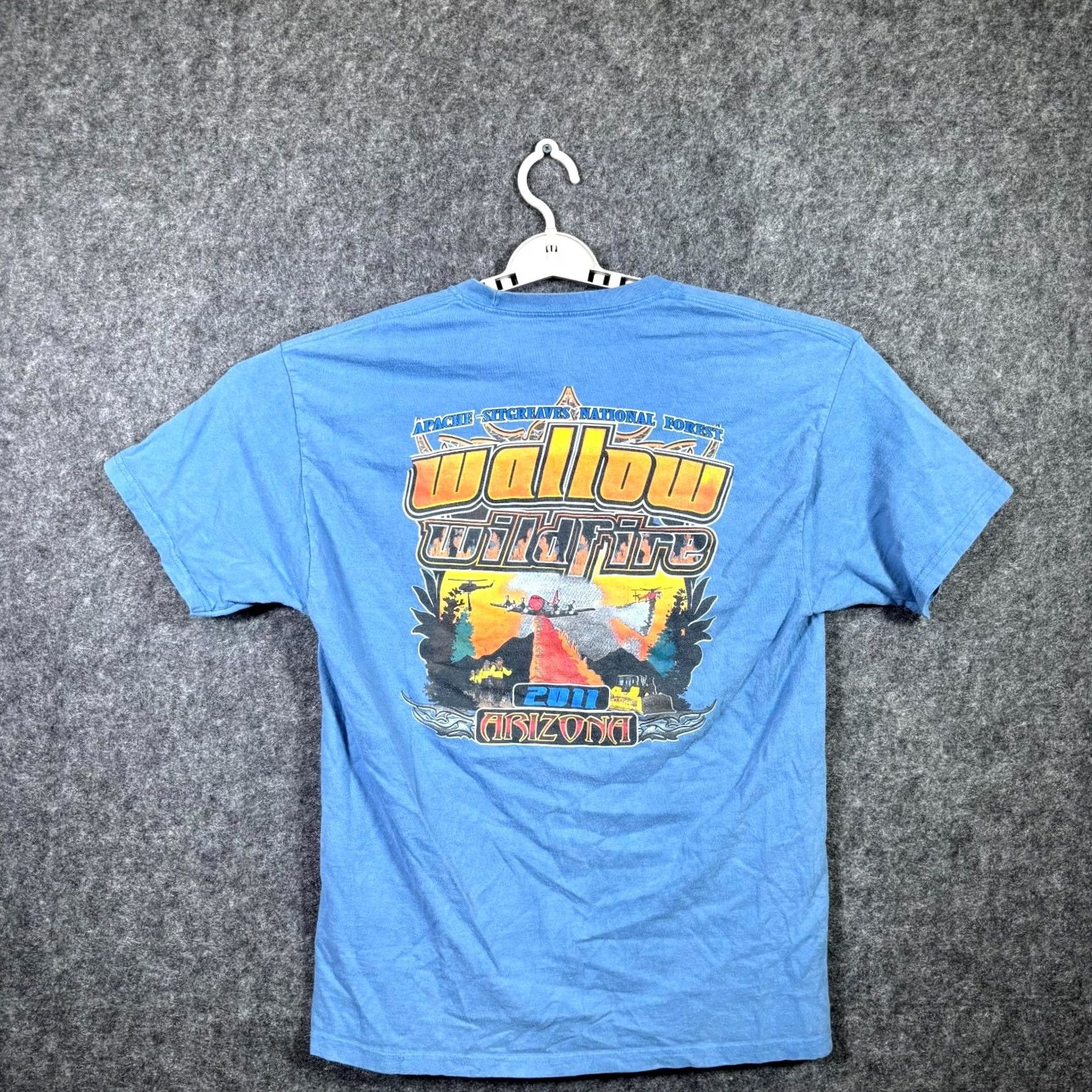 Hanes Hanes T-Shirt Men’s L Blue Cotton Graphic Print Apache-Sitgreaves National Forest Crew Neck Short Sleeve Size US L / EU 52-54 / 3 - 5 Thumbnail