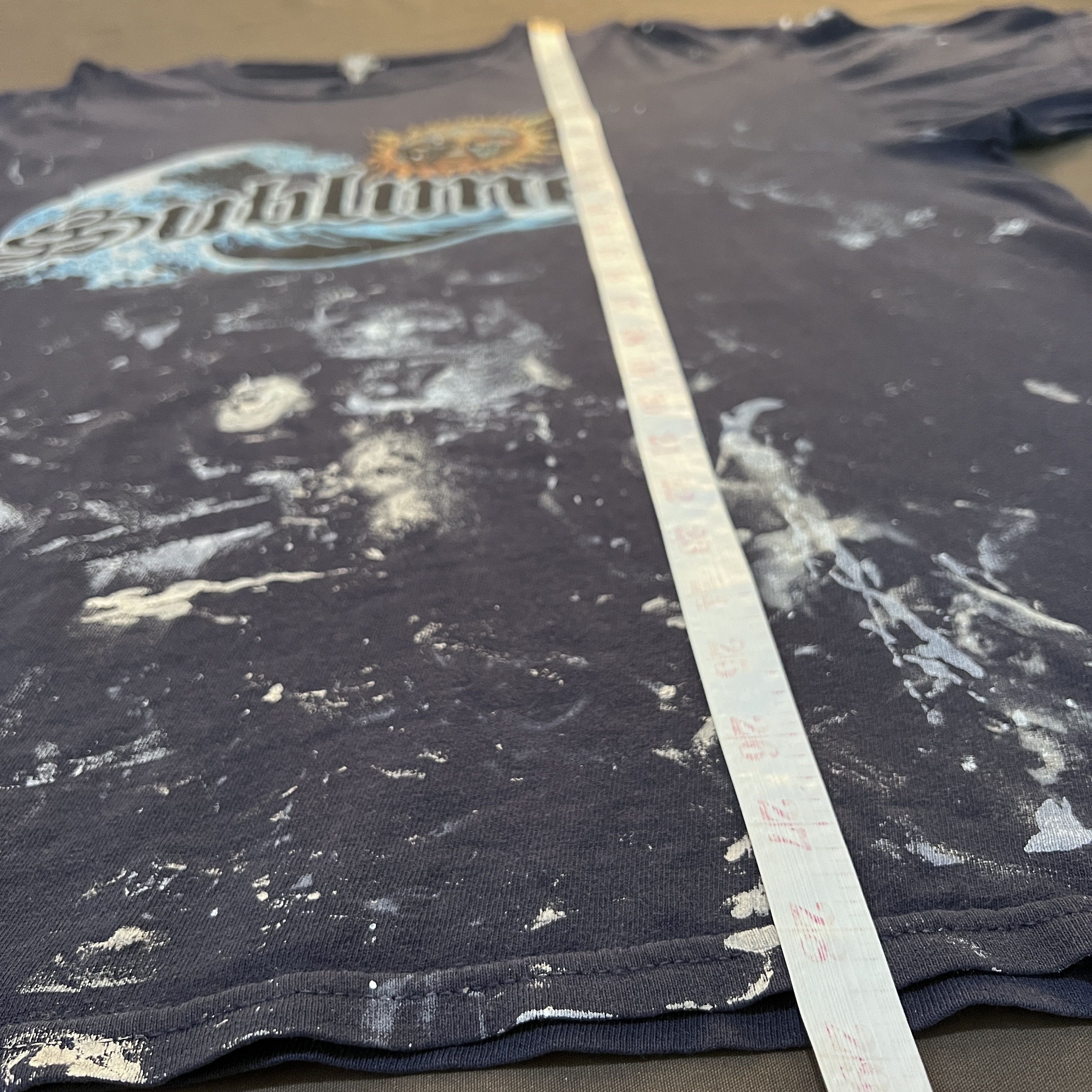 Band Tees Vintage Y2K Sublime Skunk Records Tee Thrashed Distressed Size US XL / EU 56 / 4 - 15 Thumbnail