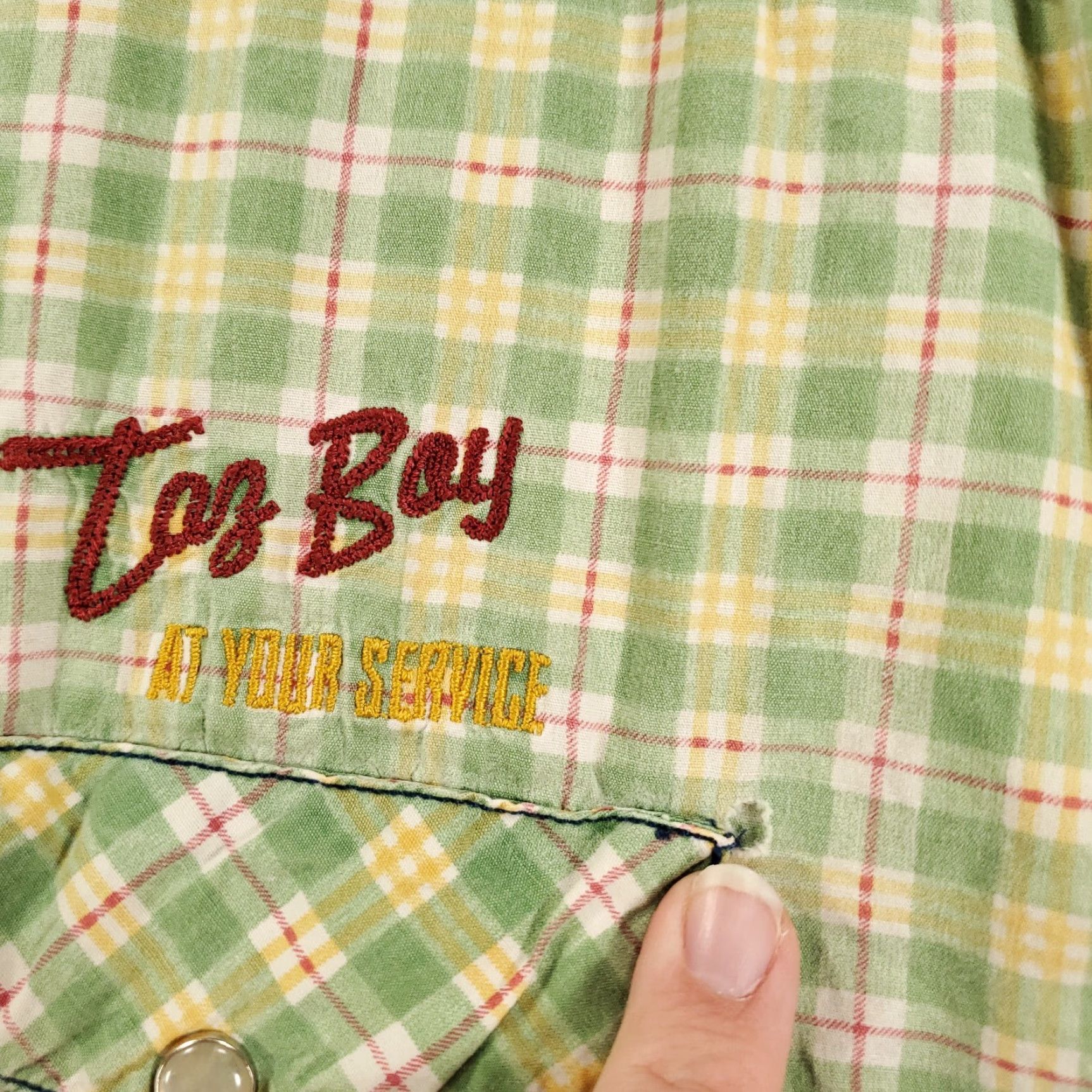Vintage Vintage Looney Tunes Tazmanian Devil Shirt Mens M Taz Boy At Your Service Plaid Embroidered Button-Up Collared 90s Cartoon Casual Size US M / EU 48-50 / 2 - 5 Thumbnail