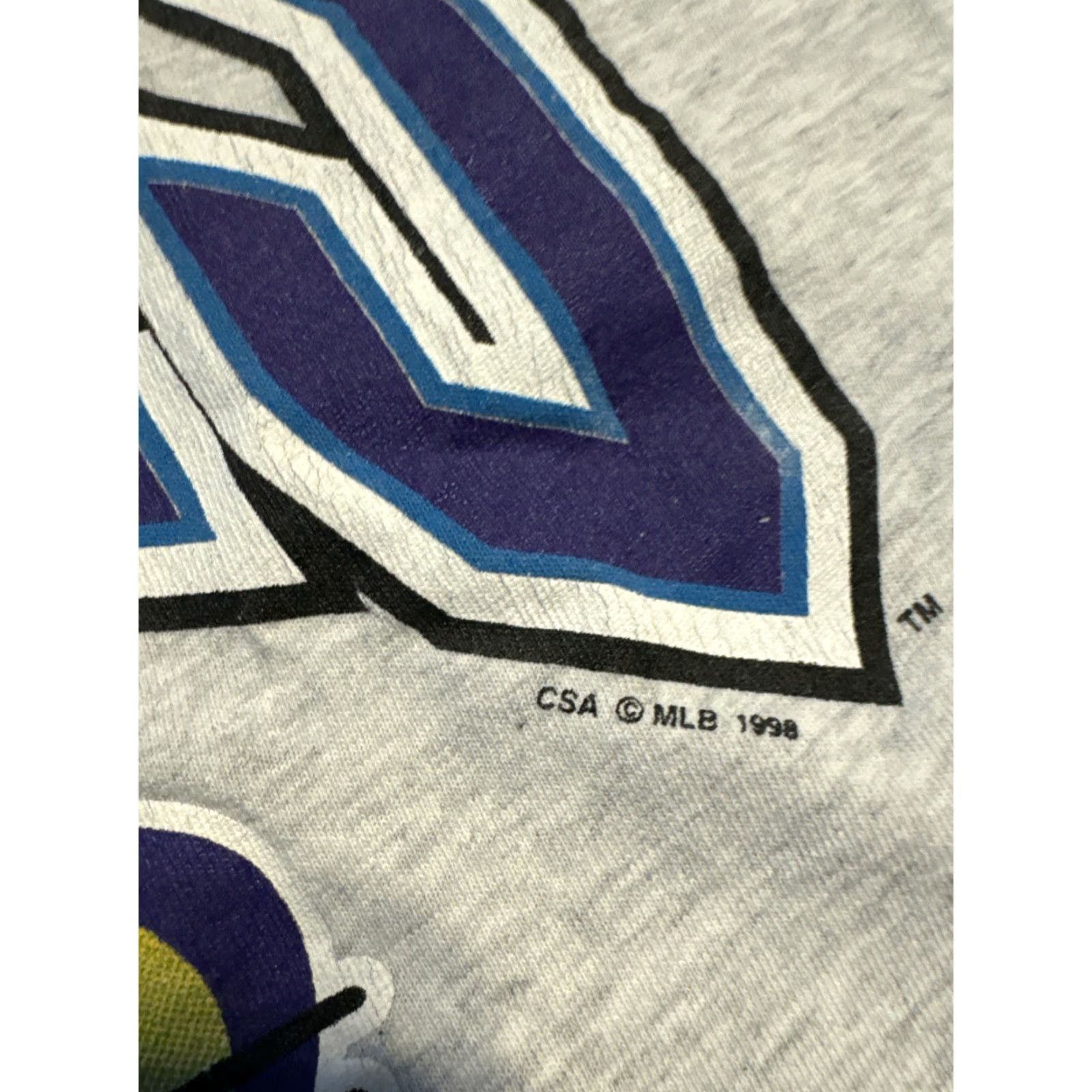 MLB VINTAGE 1998 MLB Tampa Bay Devil Rays Grey T-Shirt Medium Men M Gray Shirt Size US M / EU 48-50 / 2 - 4 Thumbnail