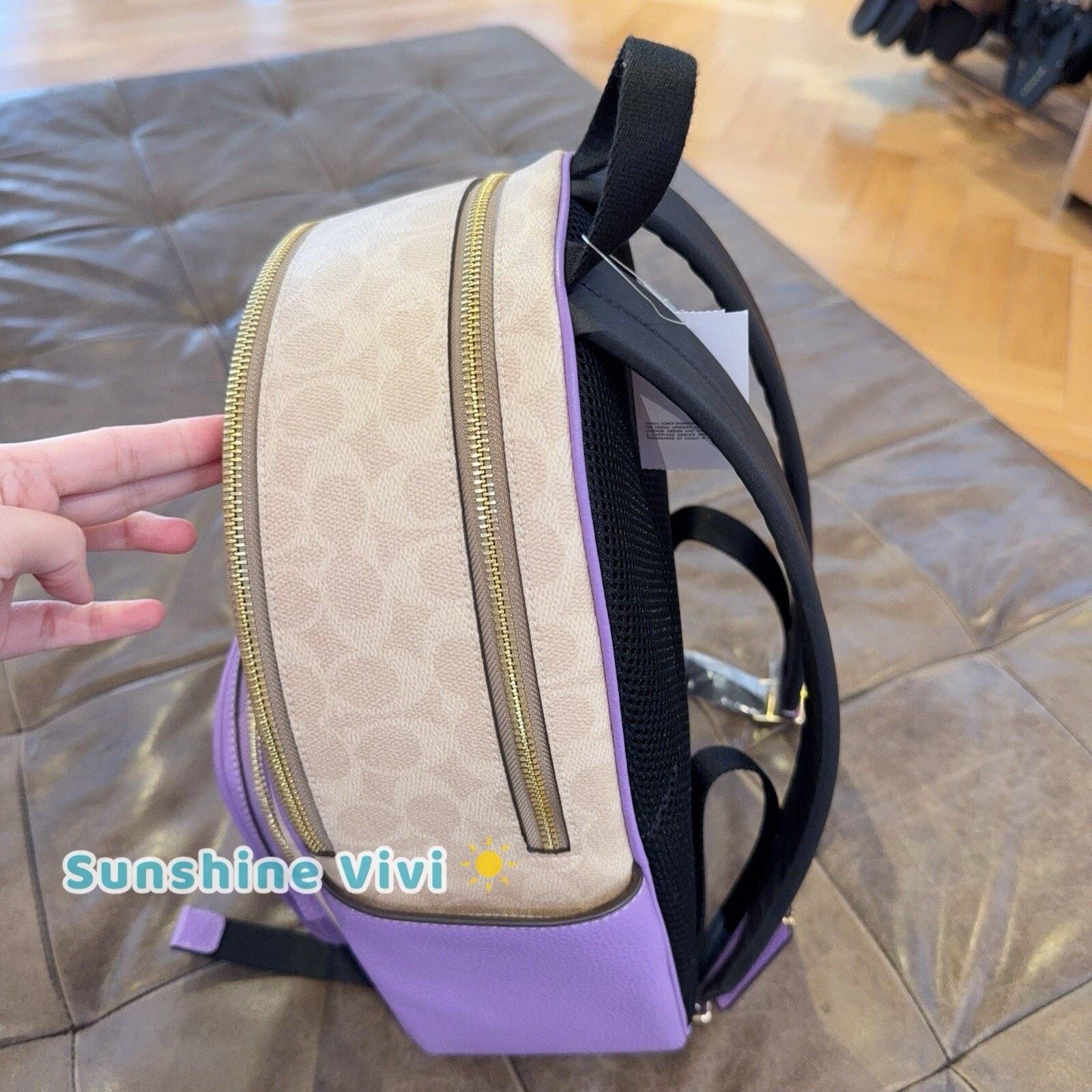 Coach NWT Coach Court Backpack Signature Canvas CZ176 Sand/Iris Size ONE SIZE - 4 Thumbnail