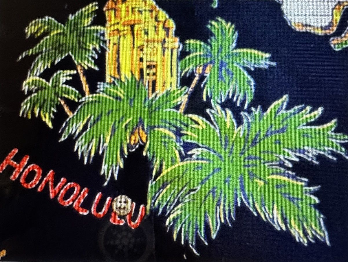 Other Mr. 1991 Inc & Miss Go Tropical Hawaiian Button-Up Shirt L Size US L / EU 52-54 / 3 - 6 Thumbnail