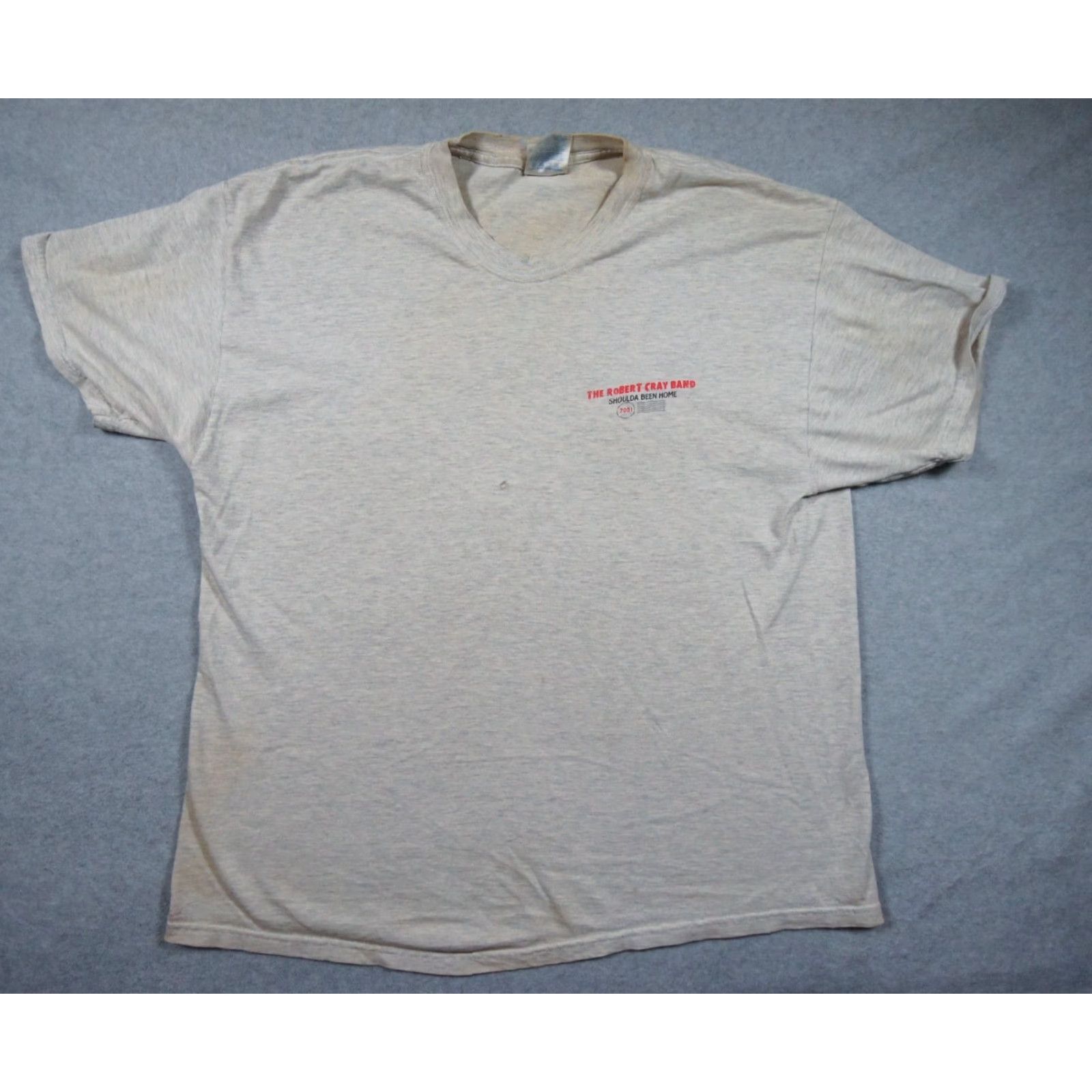 Hanes VINTAGE Hanes The Robert Gray Band Shirt Men XL Gray Cotton Short Sleeve Crew Neck Logo Tee 2000s Band Music Mens XLarge (Guitarist) Size US XL / EU 56 / 4 - 4 Thumbnail