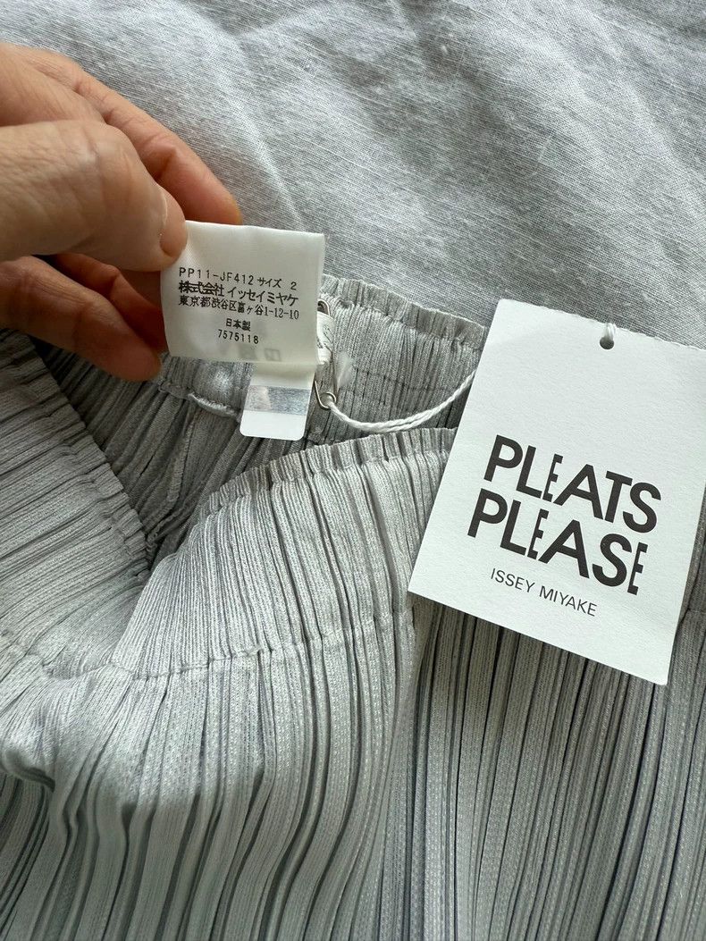 Issey Miyake Issey Miyake Grey pleated pants Size 25" / US 0 / IT 36 - 1 Thumbnail