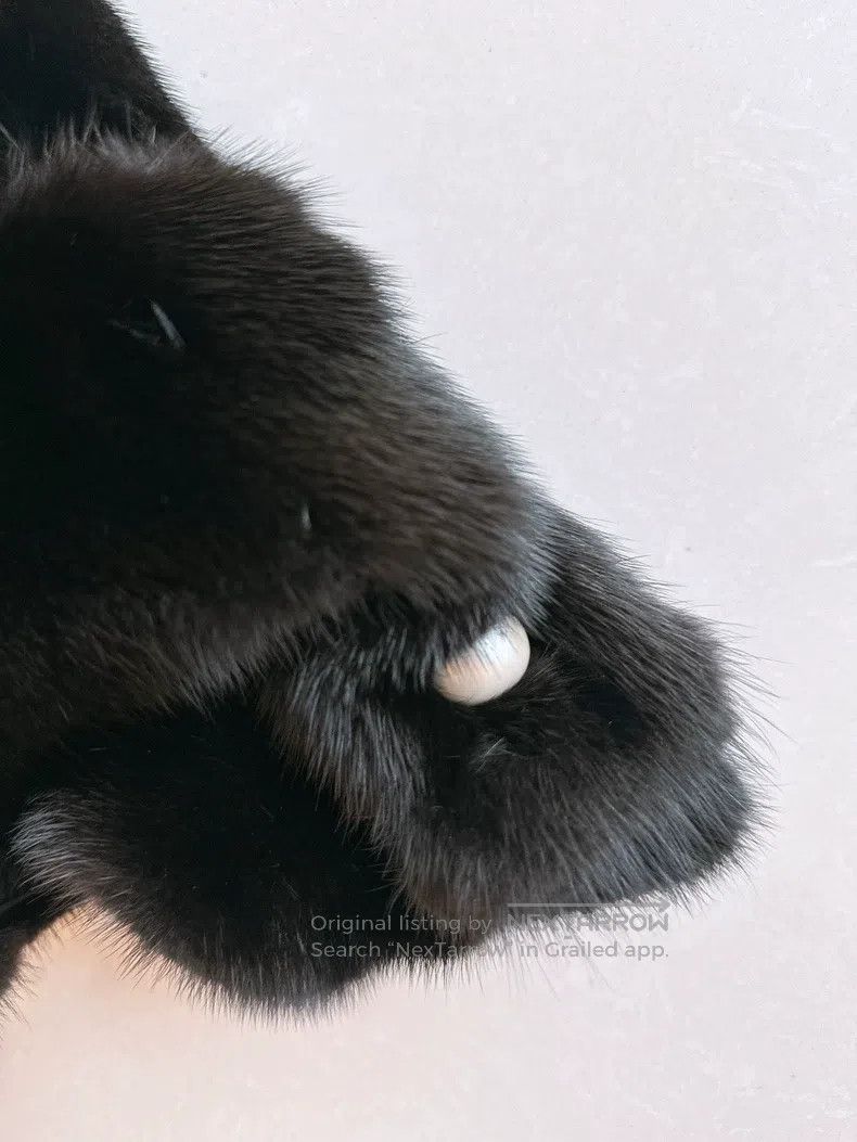 Fendi Fendi Pearl Bow Black Mink Fur Coat, Cloak Size XS / US 0-2 / IT 36-38 - 4 Thumbnail