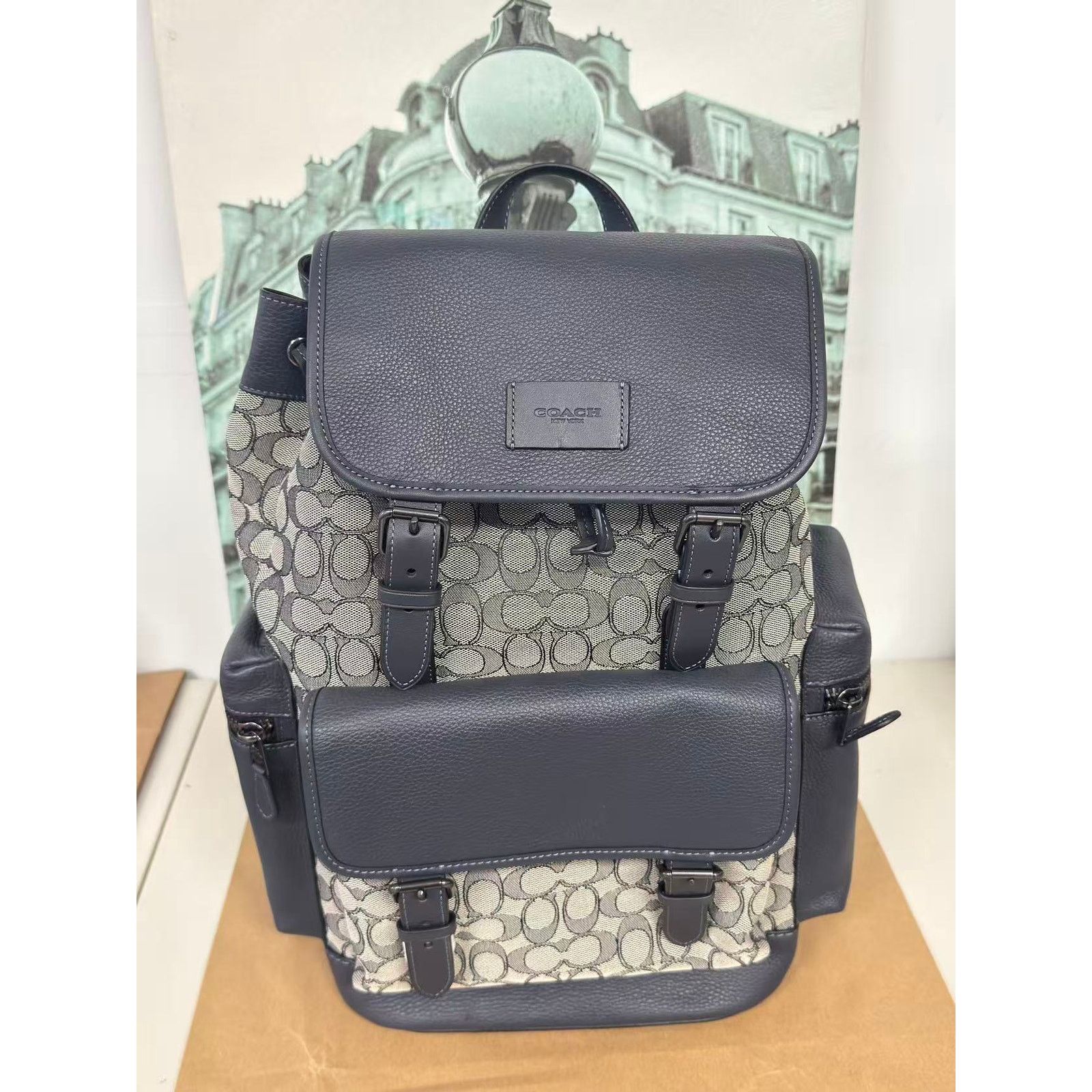Coach CE523 Sprint Backpack In Signature Jacquard