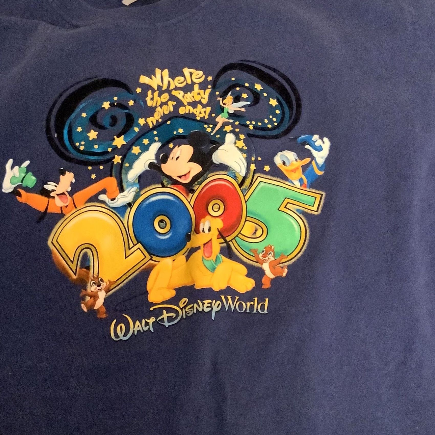 Disney VINTAGE Disney Walt Disney World Mickey Mouse T-Shirt L Crew Neck Short Sleeve Blue 2005 Mens Graphic Tee Donald Duck Theme Size US L / EU 52-54 / 3 - 2 Thumbnail