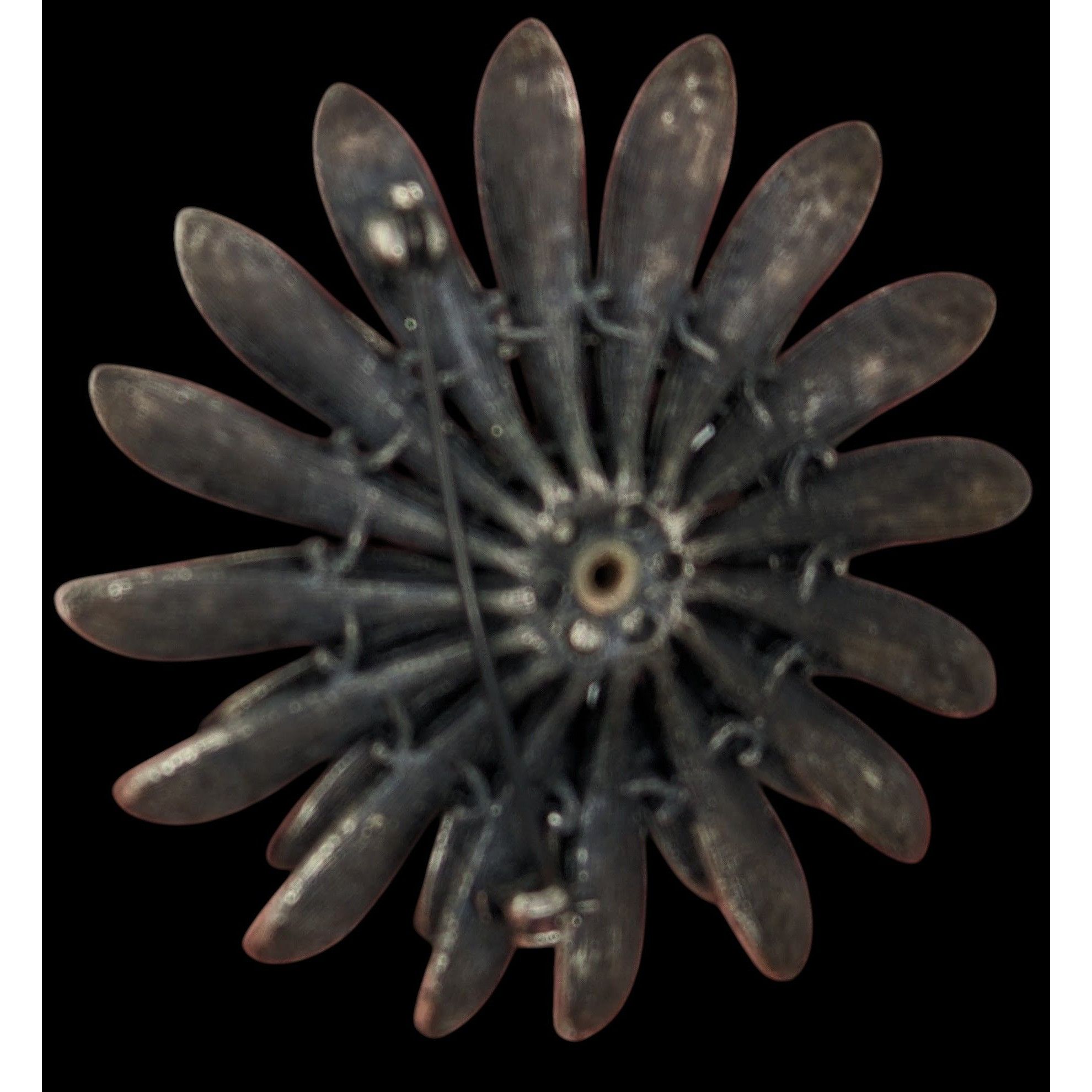 Other Vintage Cottagecore Black Metal Daisy Brooch With Rhinestone Size ONE SIZE - 3 Thumbnail